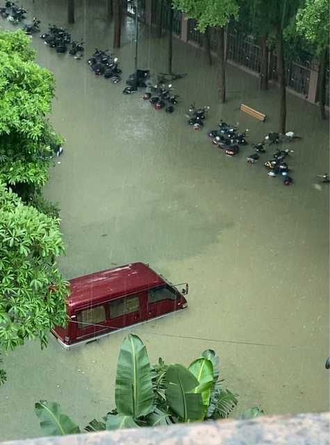 台灣淹水 台男路邊撈巨魚問 可以養嗎 網民急制止 超噁心