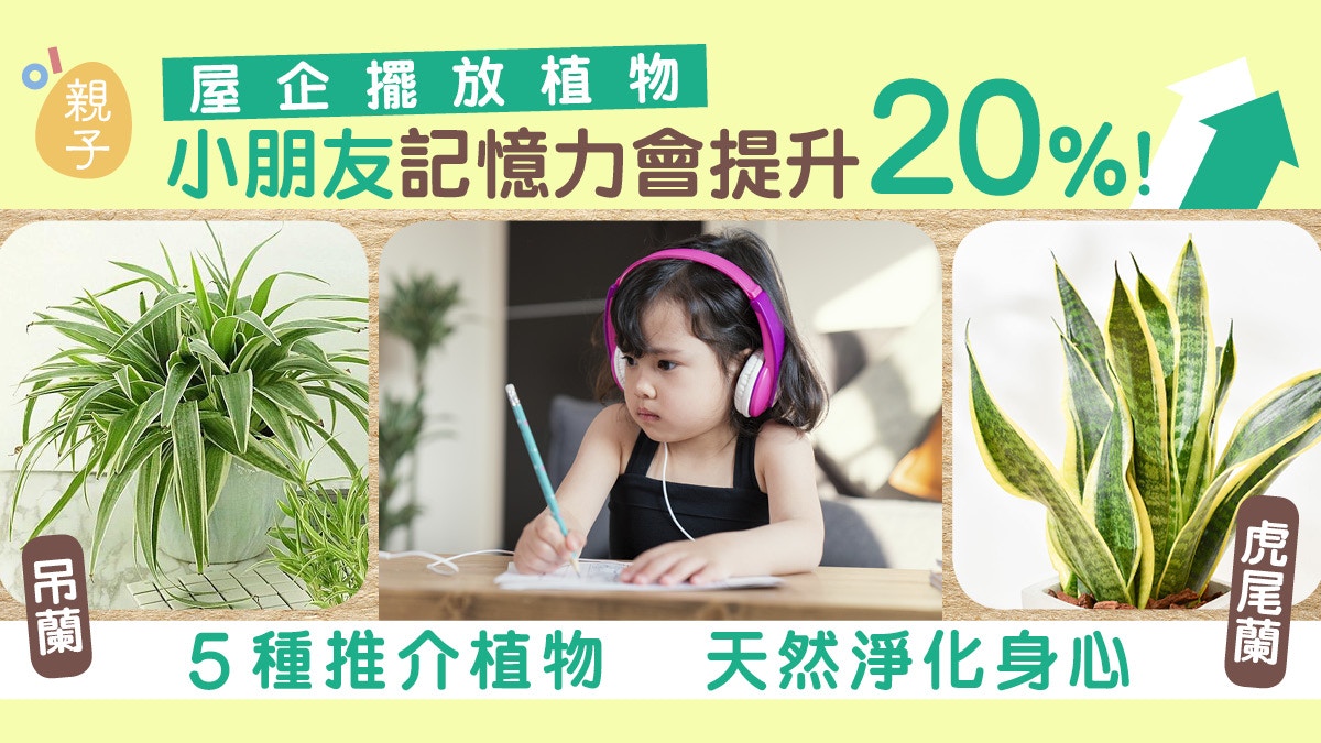 考試溫習｜室內種植助小朋友記憶力提升20%　推介5種易種植物
