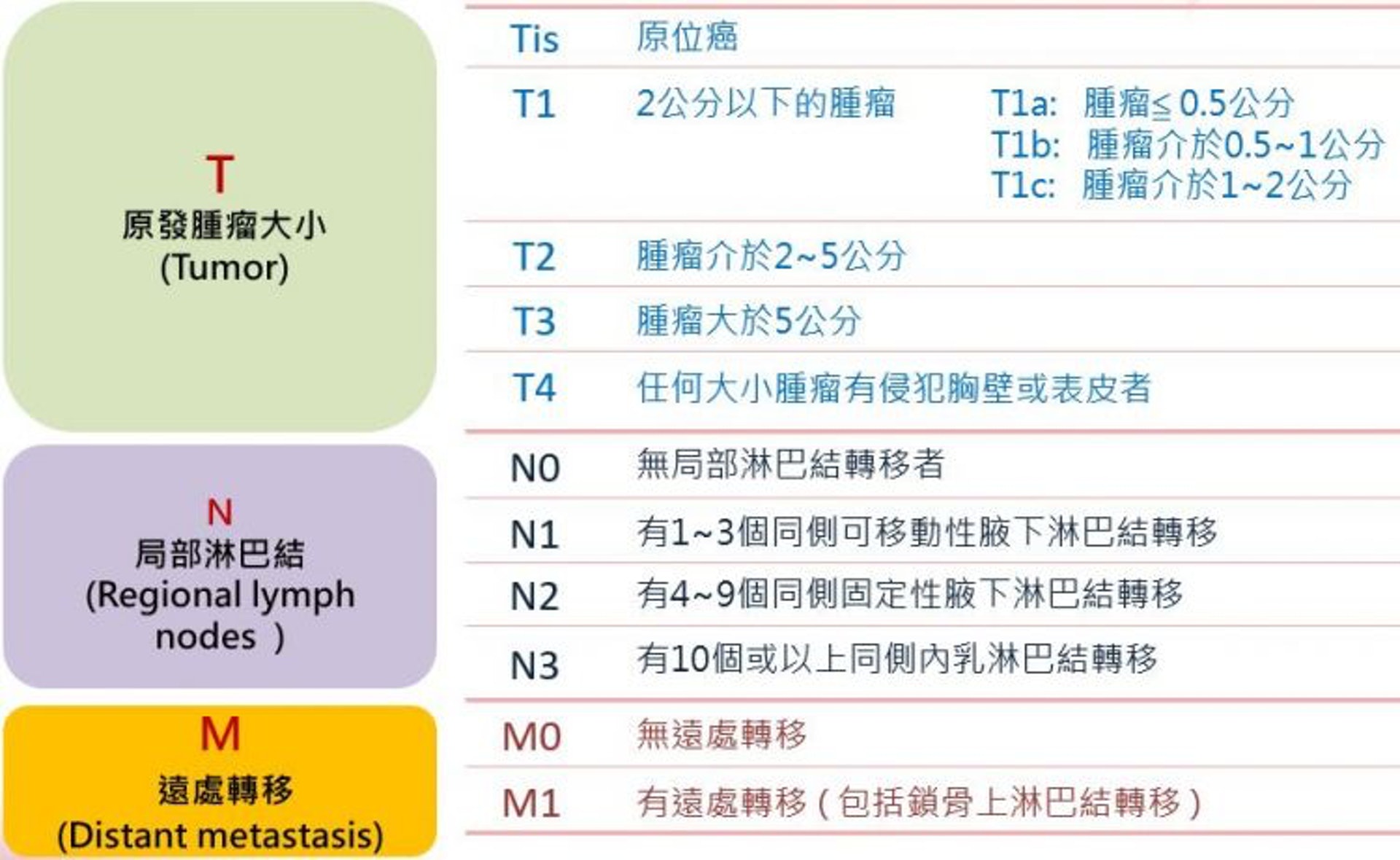 左圖：西醫臨床會按照T、N及M來斷定乳癌期數，包括T(tumour)腫瘤的大小；N(node)淋巴結受影響的幅度；以及M(metastasis) 癌細胞是否有遠端擴散，轉移至其他器官，中醫在醫治乳癌時除了參考上述數據，亦會考慮四個重要的測試指標，分別是ER、PR、HER及Ki-67。（圖片： globalmednew）