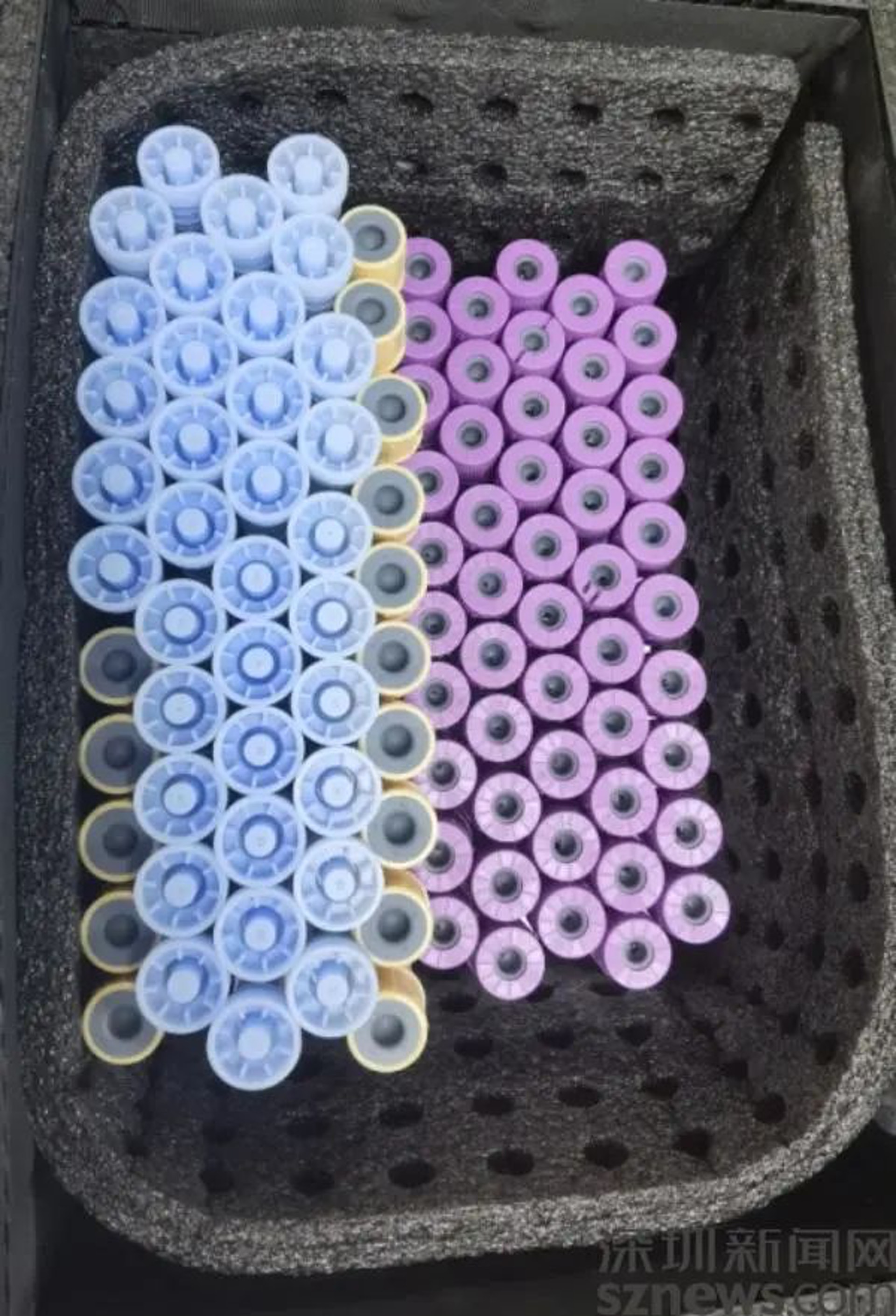 特殊保溫箱可確保標本的品質安全。(深圳新聞網) 特殊保溫箱可確保標本的品質安全。(深圳新聞網)