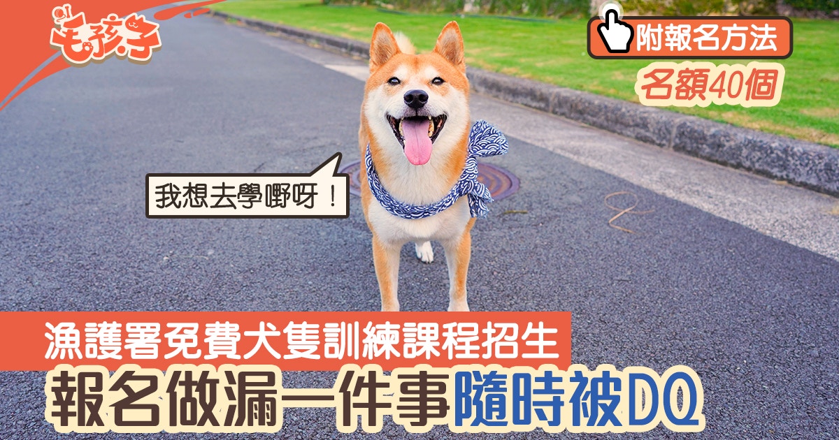 狗行為｜漁護署免費犬隻訓練課程招生　報名做漏一件事隨時被DQ
