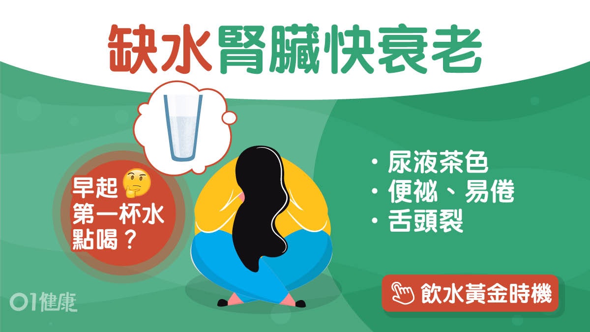飲水 40歲腎臟開始老化疲累因腎缺水廢物多 喝對2杯水精神百倍 香港01 健康