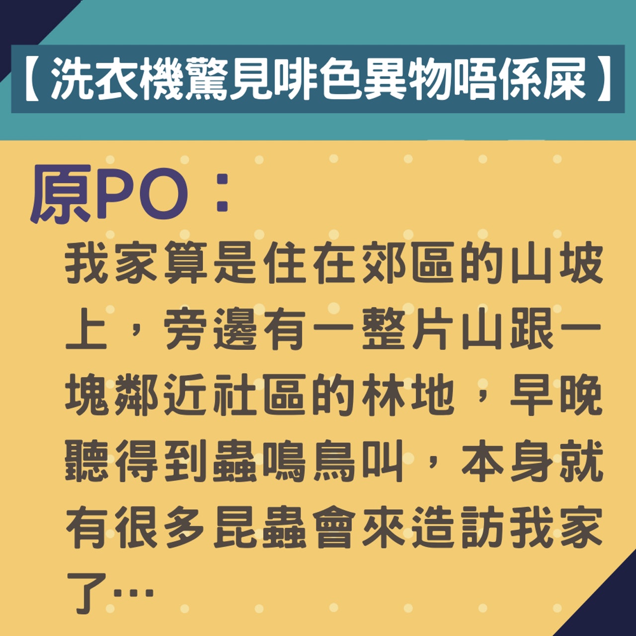 【洗衣機驚見啡色異物唔係屎】(01製圖) 【洗衣機驚見啡色異物唔係屎】(01製圖)