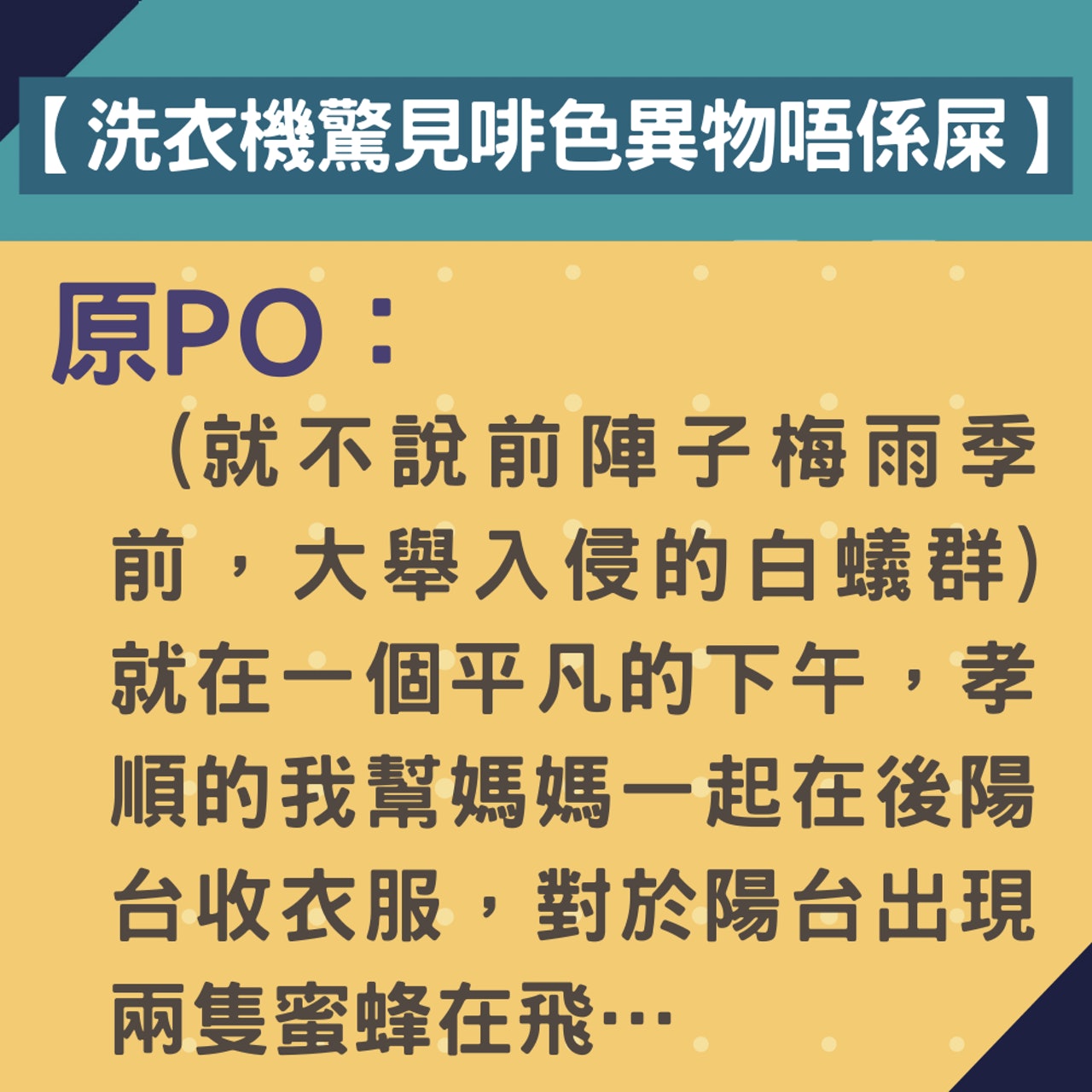 【洗衣機驚見啡色異物唔係屎】(01製圖) 【洗衣機驚見啡色異物唔係屎】(01製圖)