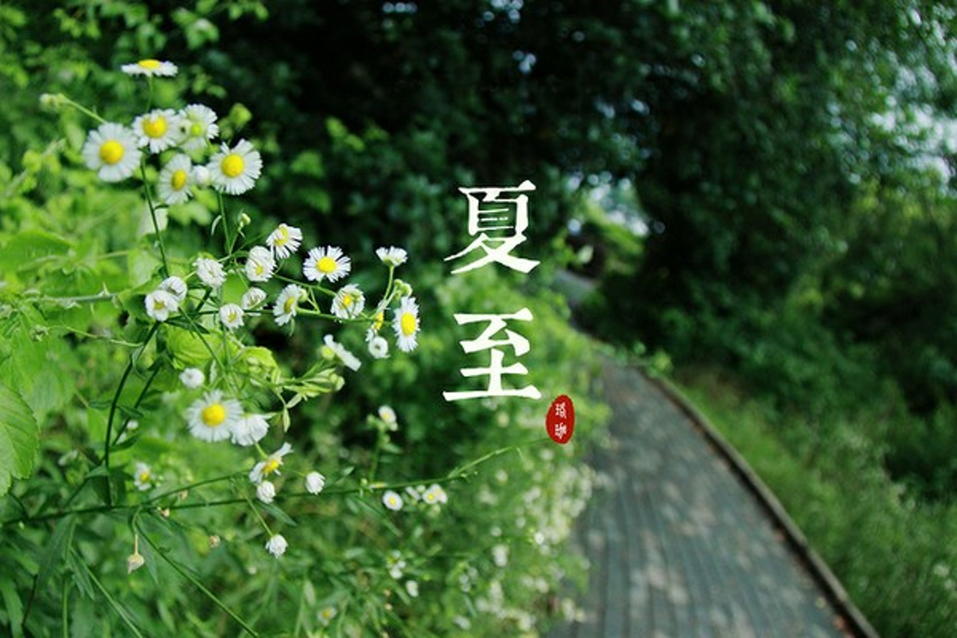 夏至之後,陽氣漸衰,但香港的氣溫仍持續高企,飲食應以「清泄暑熱、增進食欲」為目的。 (圖片:japan.people) 夏至之後,陽氣漸衰,但香港的氣溫仍持續高企,飲食應以「清泄暑熱、增進食欲」為目的。 (圖片:japan.people)