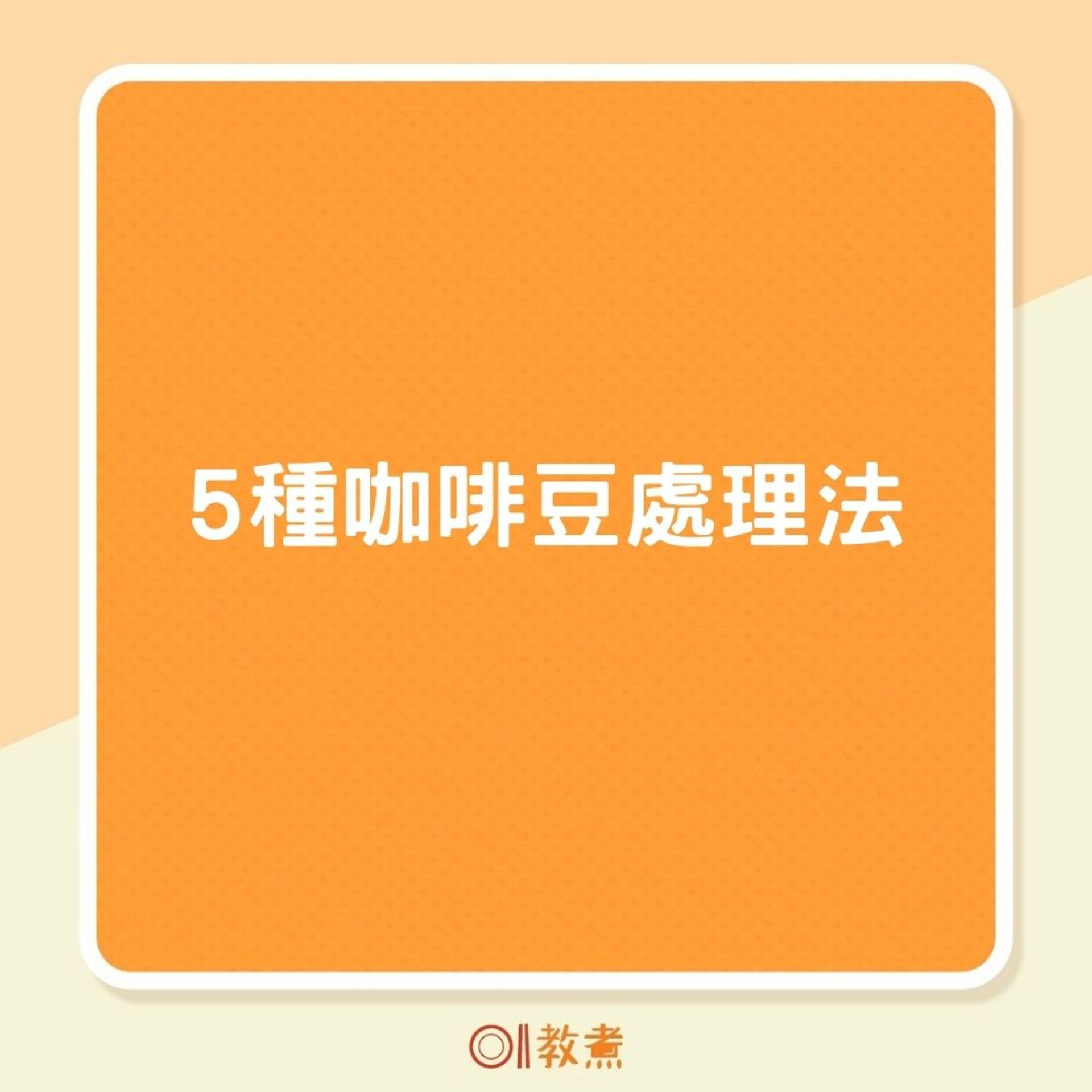 5種咖啡豆處理法(01製圖) 5種咖啡豆處理法(01製圖)
