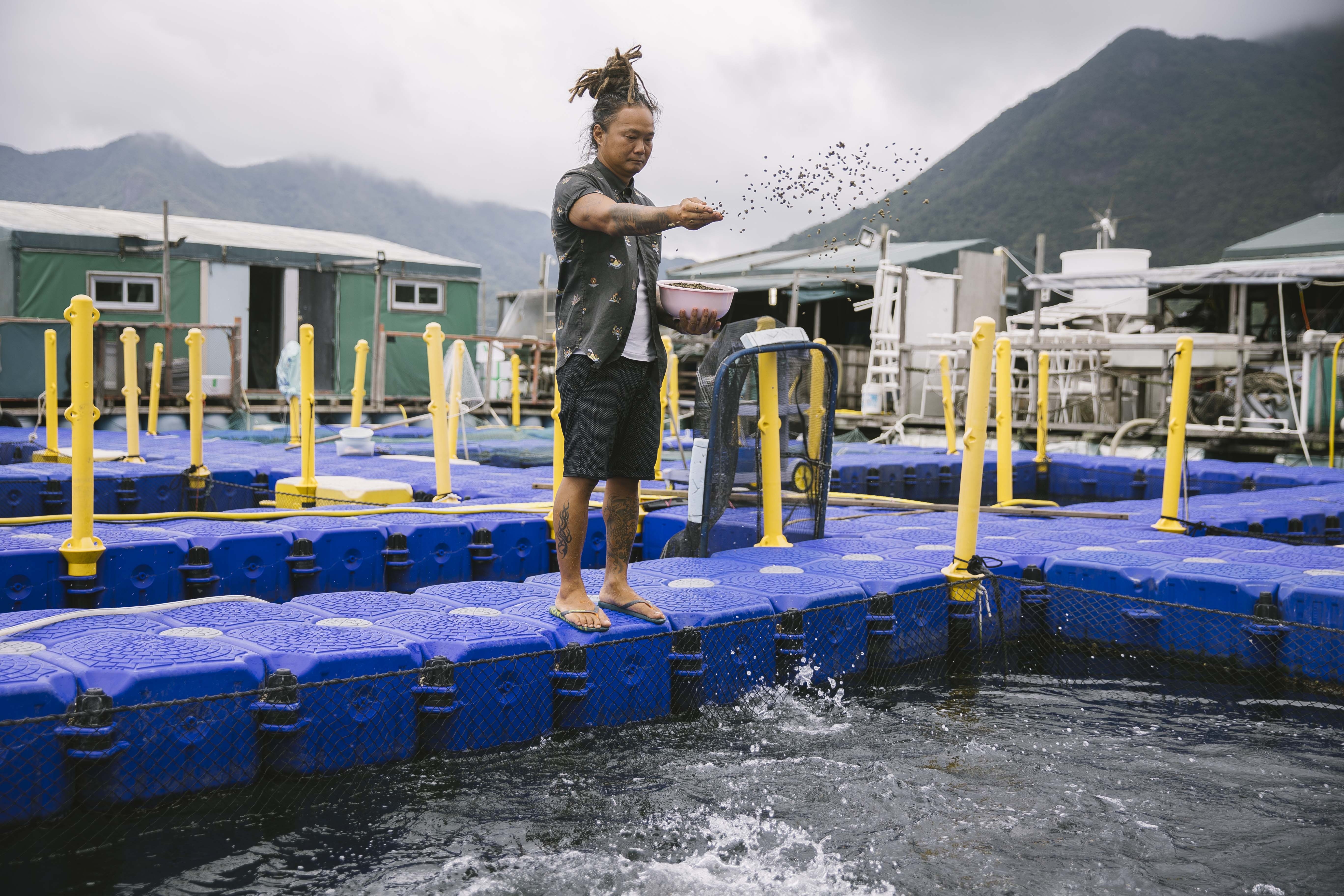 除了嚴選飼料，Alex對魚場環境、養殖技巧和魚類處理方法都有要求。