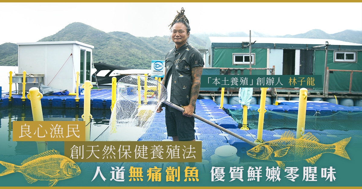 【優質養魚場計劃】漁民創人道保健養殖法 無添加鮮魚零腥味