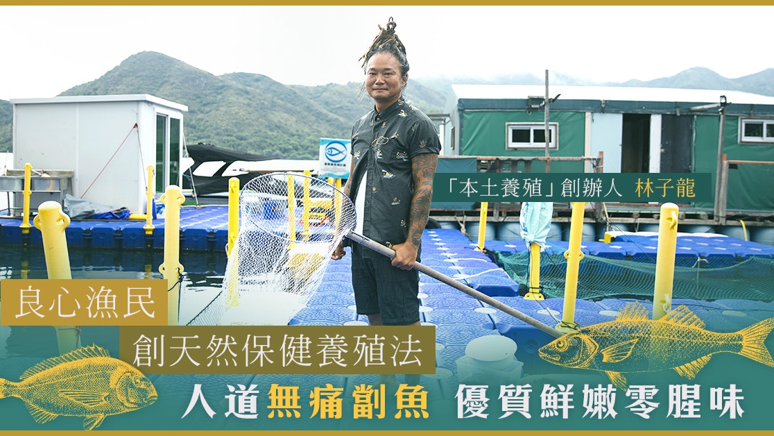 【優質養魚場計劃】漁民創人道保健養殖法 無添加鮮魚零腥味 【優質養魚場計劃】漁民創人道保健養殖法 無添加鮮魚零腥味