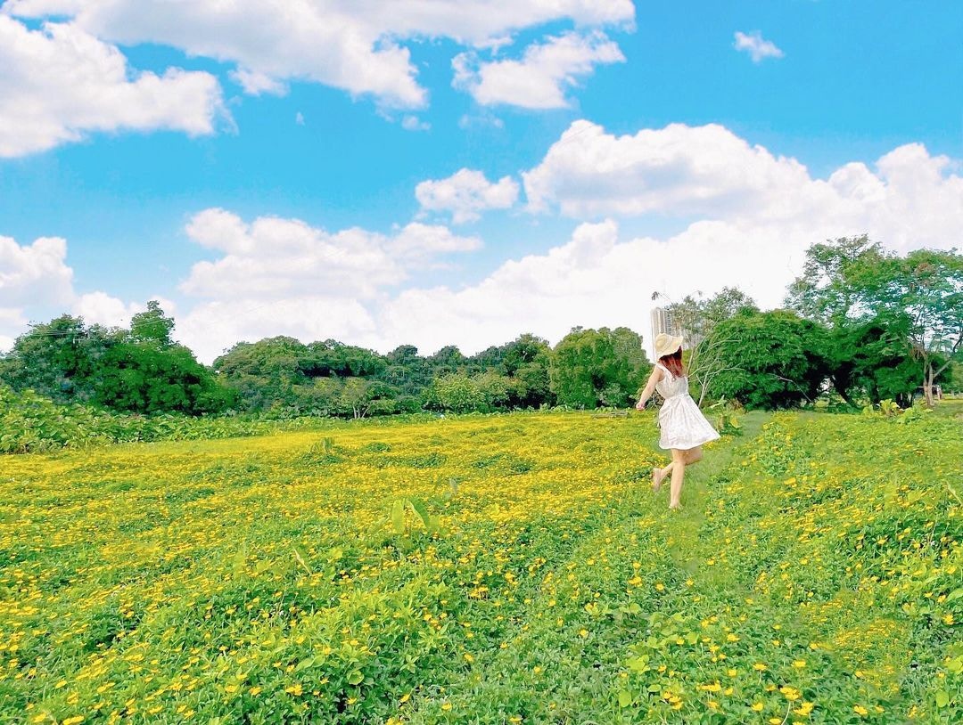 本地賞花 香港01