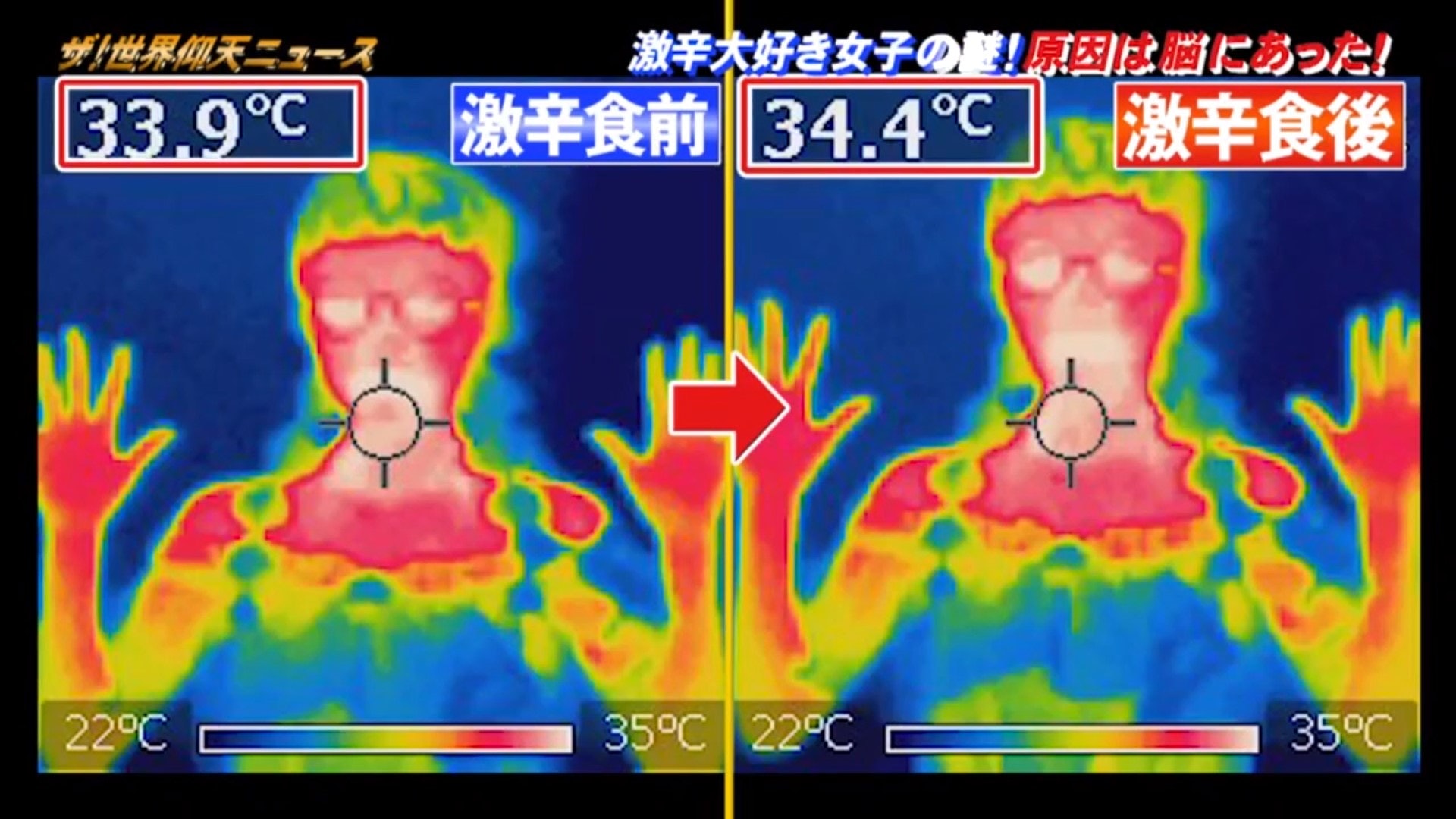 節目中習慣食辣的「激辛女子」，更已經不會再因為食辣而流汗，體溫在進食前後亦沒有太大的改變。（《ザ！世界仰天ニュース》截圖）