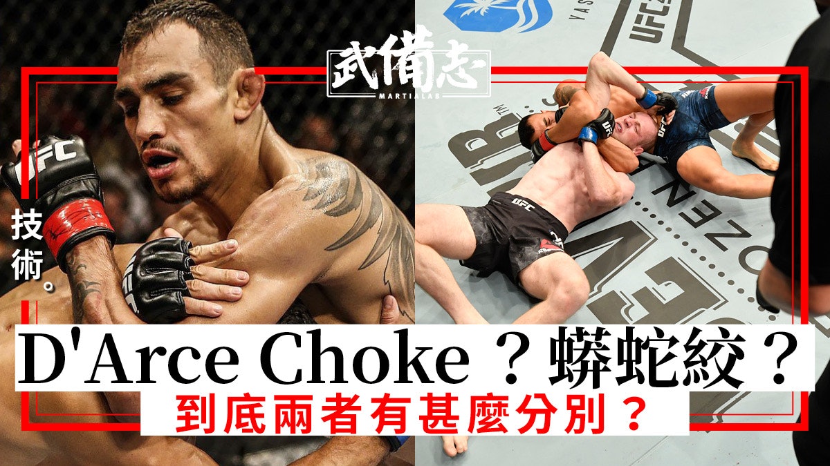 D'Arce Choke、蟒蛇絞技術大不同 手三角絞降服的生理解釋 D'Arce Choke、蟒蛇絞技術大不同 手三角絞降服的生理解釋