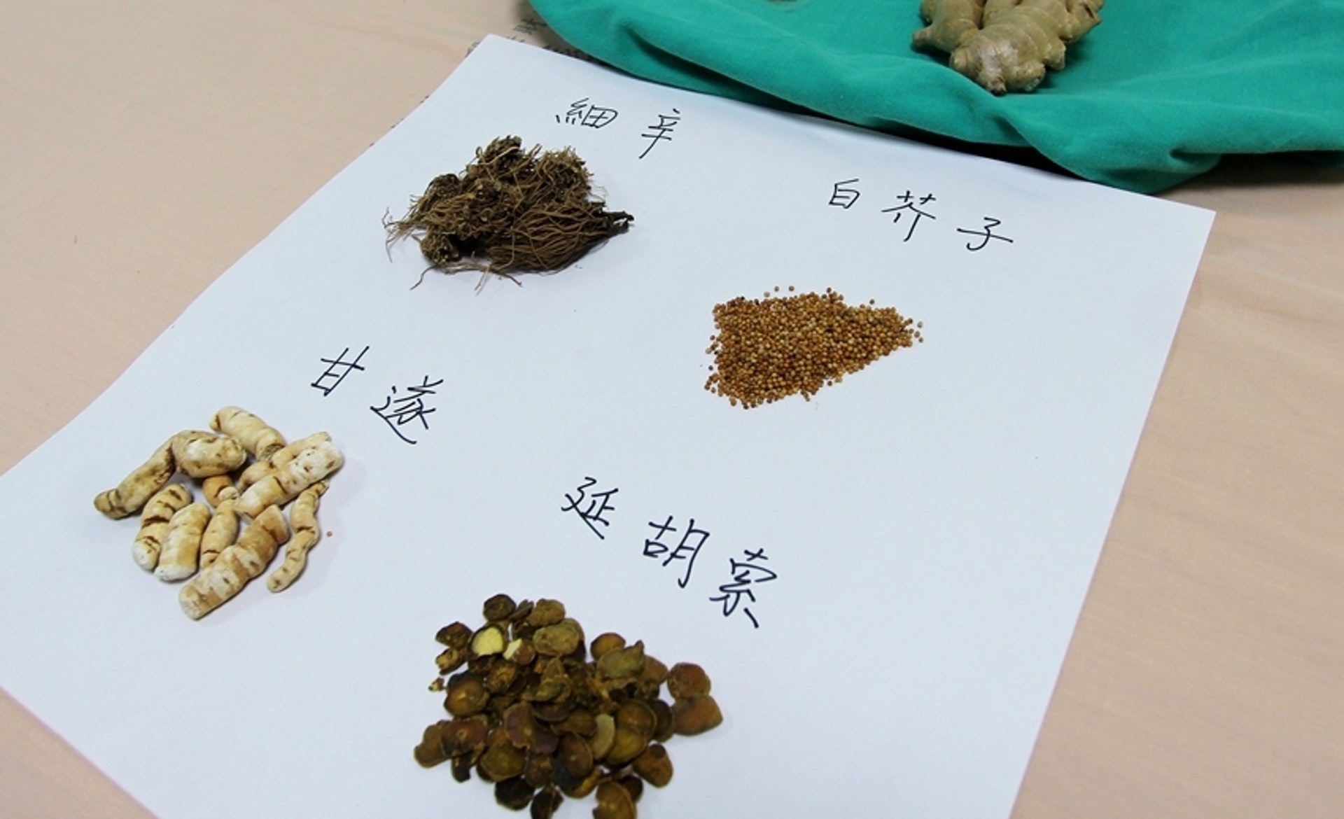 天灸常用的中藥包括白芥子、細辛、甘遂、延胡索等。(圖片:health.tvbs) 天灸常用的中藥包括白芥子、細辛、甘遂、延胡索等。(圖片:health.tvbs)