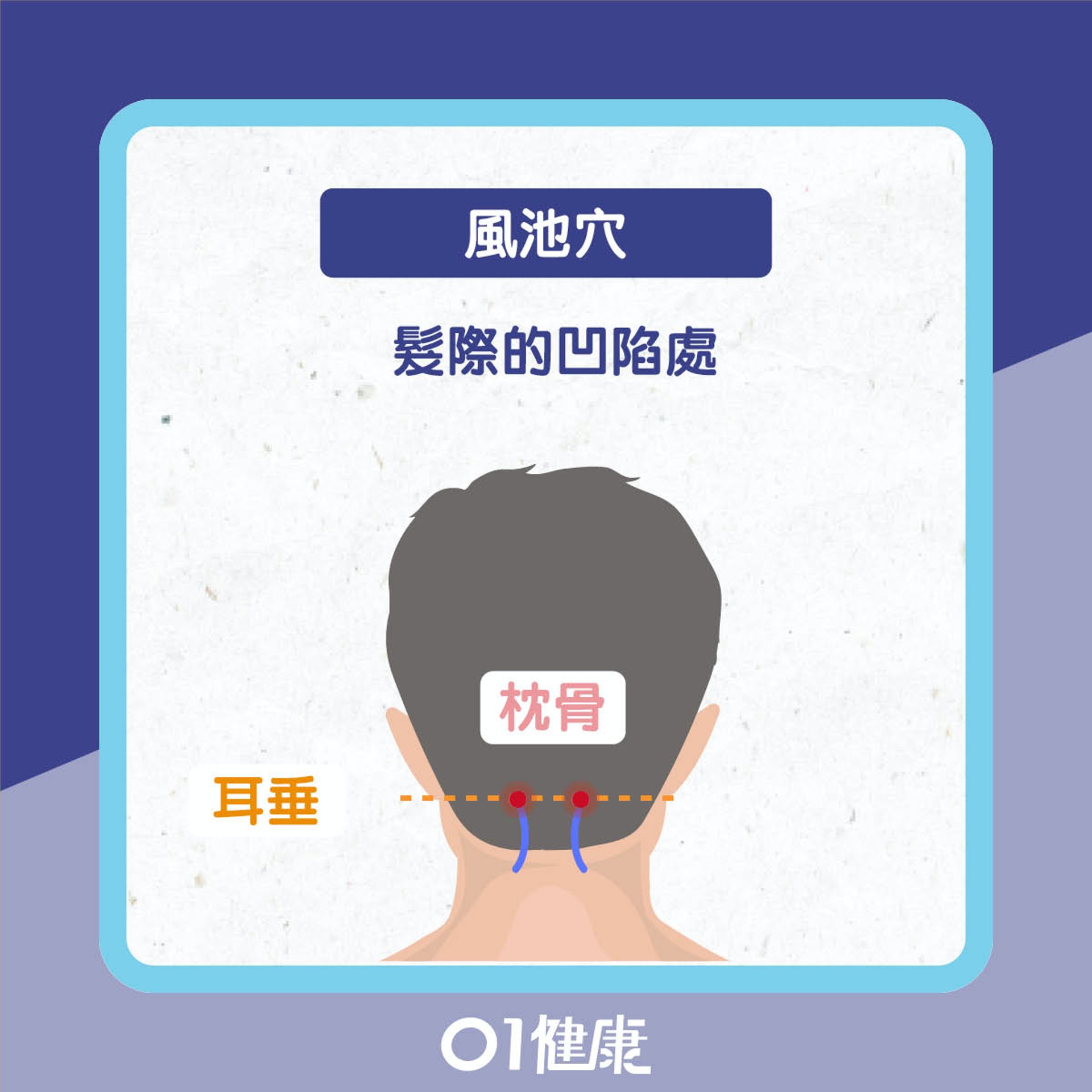 梳頭步驟(01製圖) 梳頭步驟(01製圖)