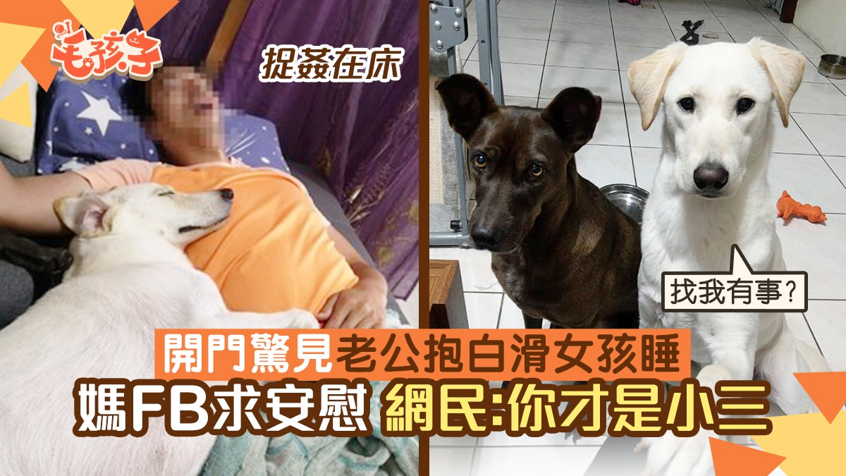 唐狗|開門驚見老公抱白滑女孩睡覺 媽FB求安慰網民:你才是小三 唐狗|開門驚見老公抱白滑女孩睡覺 媽FB求安慰網民:你才是小三