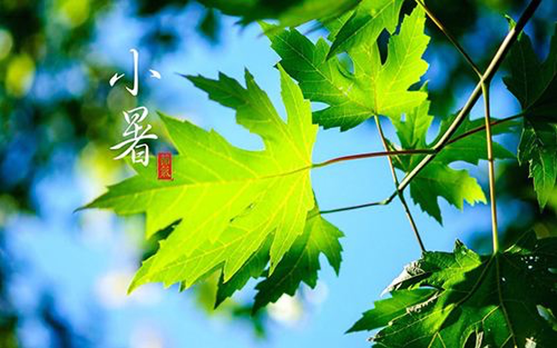 小暑的意思是「暑氣至此尚未極也」,不過受都市環境、氣候變化等因素影響,香港的天氣早已相當炎熱。(圖片:k366) 小暑的意思是「暑氣至此尚未極也」,不過受都市環境、氣候變化等因素影響,香港的天氣早已相當炎熱。(圖片:k366)