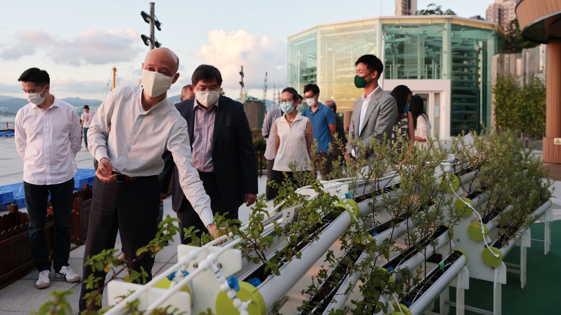 堅農圃水耕園啟用 每月量產一公噸 擬種日本西瓜、士多啤梨 堅農圃水耕園啟用 每月量產一公噸 擬種日本西瓜、士多啤梨