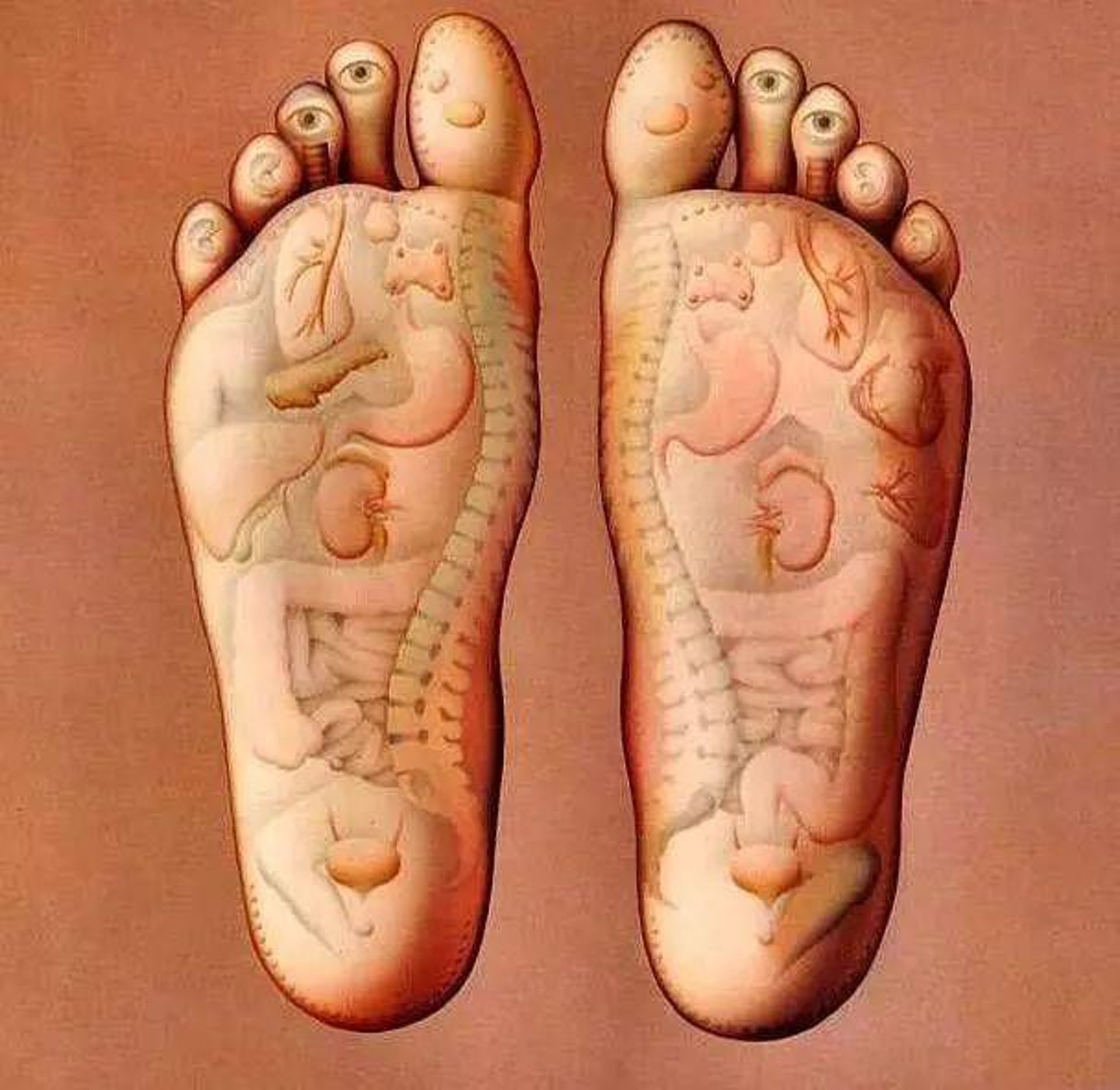 足部有眾多穴位及經絡，尤其是足底，而這些穴位和經絡都對應人體的其他器官，因此適當的浸腳、按摩、敷貼等方法，都有助排出身體的濕氣。（圖片：kknews）