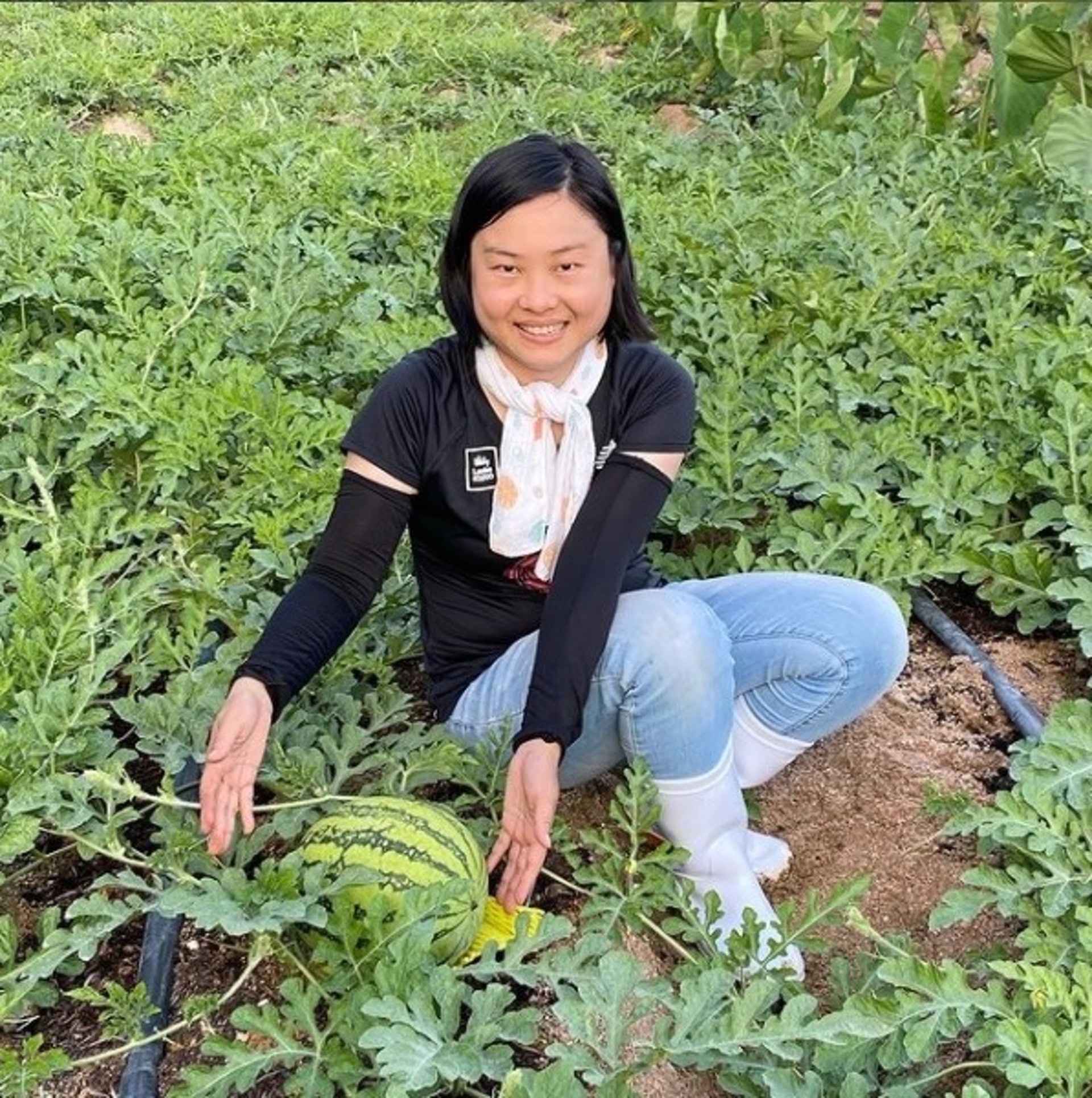 阿珊指西瓜的紋理有深有淺,與它表面受陽光及長躺田中有關。(受訪者提供圖片) 阿珊指西瓜的紋理有深有淺,與它表面受陽光及長躺田中有關。(受訪者提供圖片)