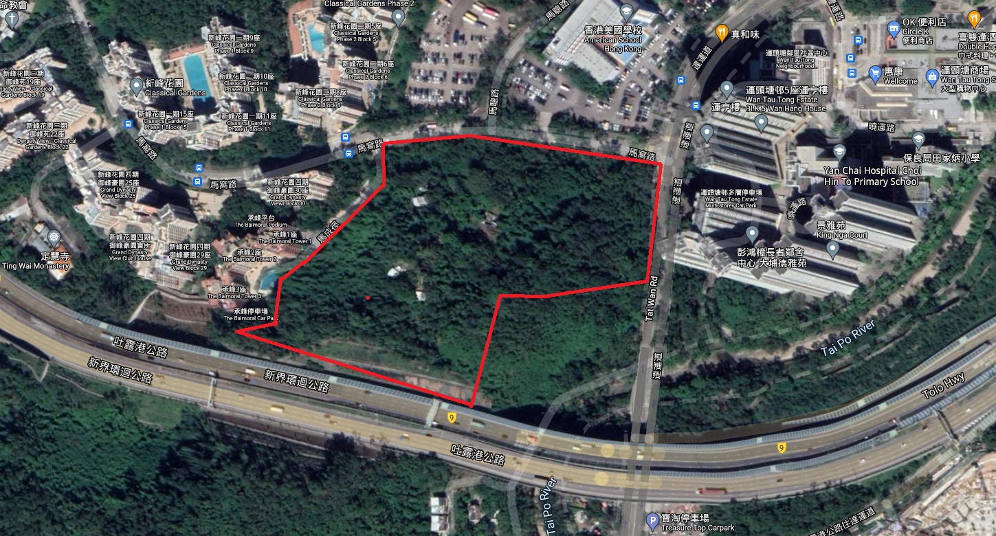 大埔桃源洞綠化帶擬建公屋提供約2 400單位要移除近千棵樹 香港01 社會新聞