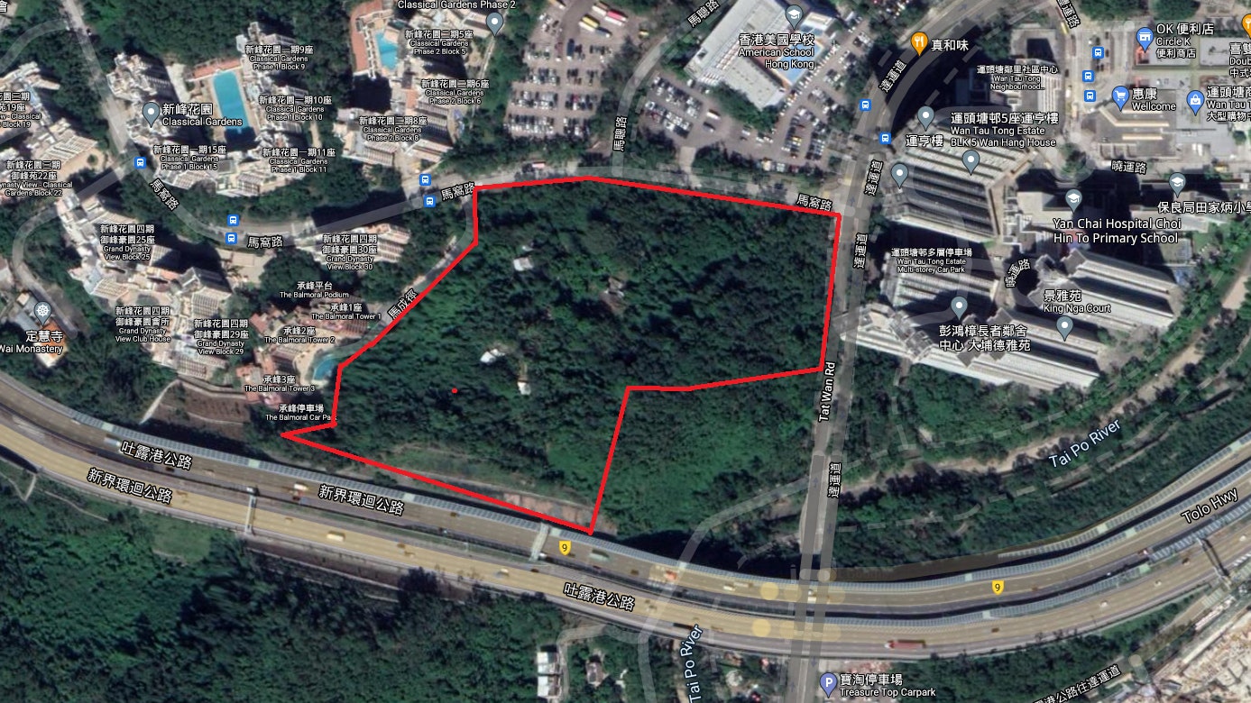 大埔桃源洞綠化帶擬建公屋提供約2 400單位要移除近千棵樹 香港01 社會新聞