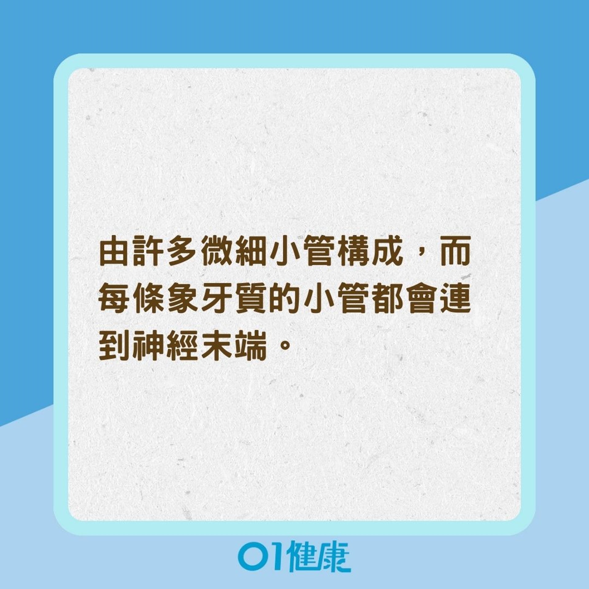 敏感性牙齒的原因(01製圖) 敏感性牙齒的原因(01製圖)