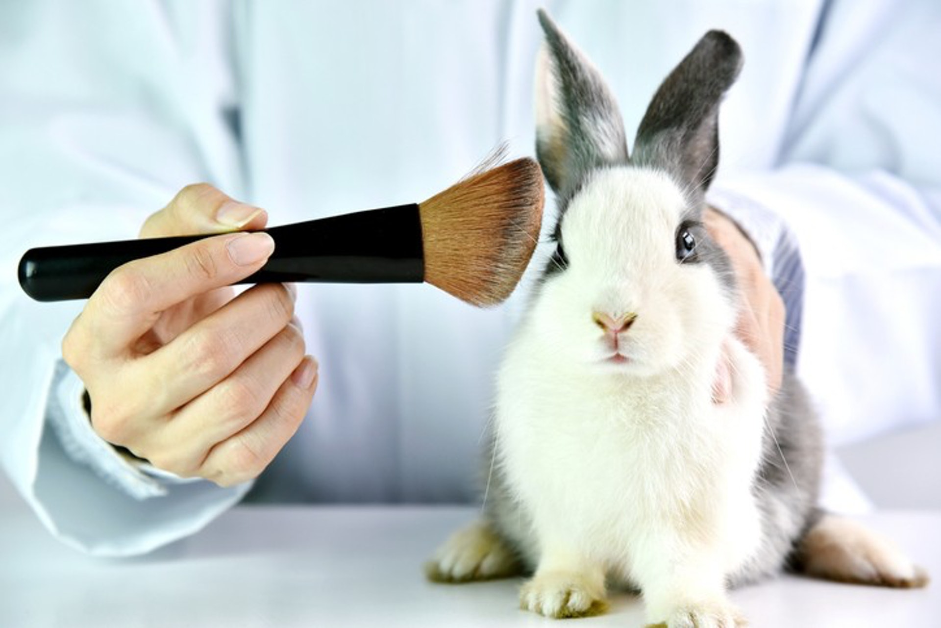 Clean Beauty的產品在生產過程中，需確保不經動物測試。（圖片：Getty Images）