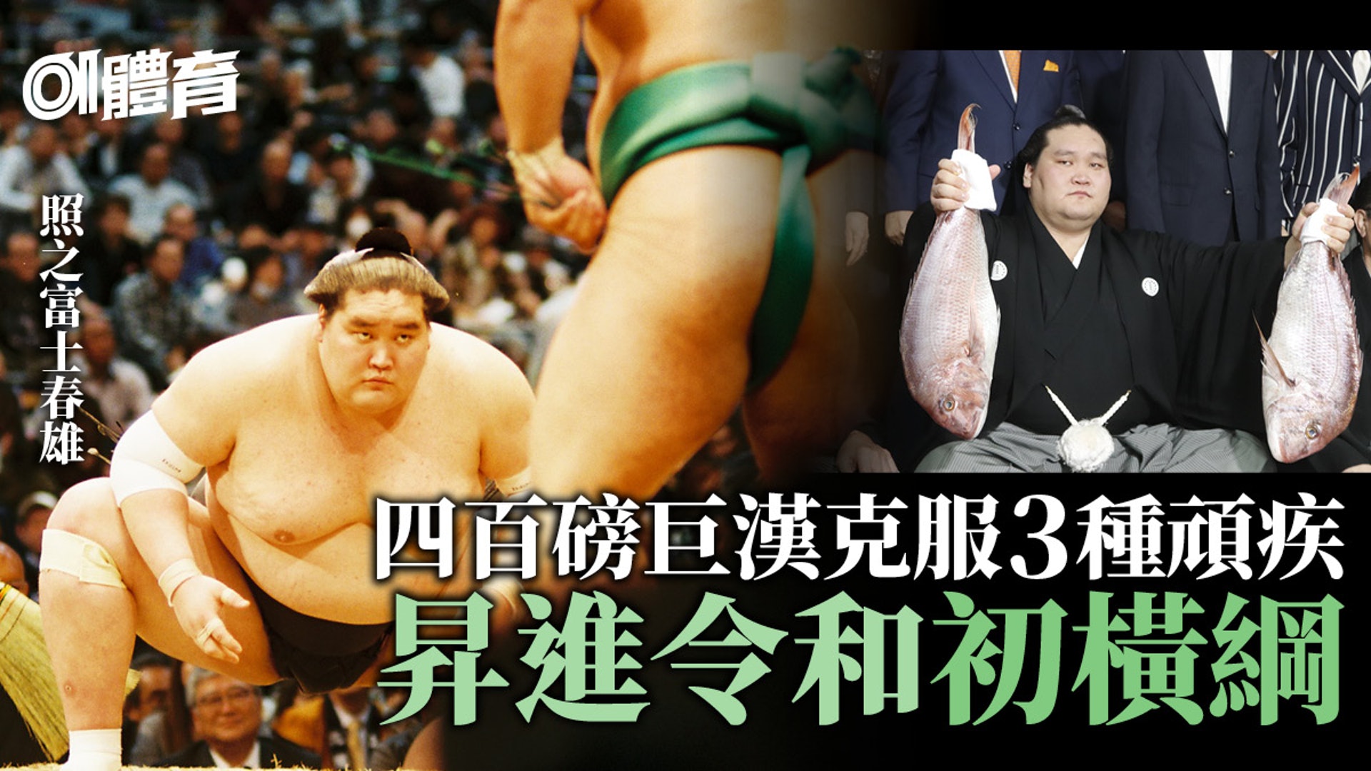 照之富士春雄成令和橫綱聽師父的話次低級別再出發 相撲 照之富士春雄成令和橫綱聽師父的話次低級別再出發 相撲