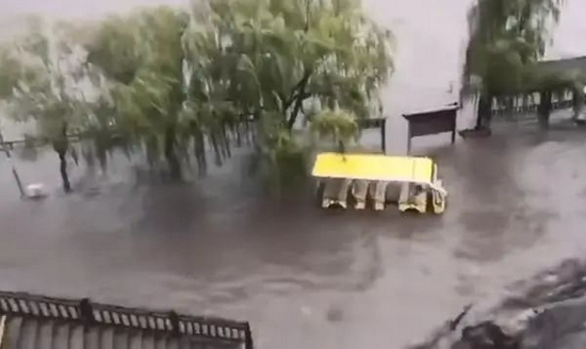 龍門石窟景區水位溢出河道。(《東方今報》) 龍門石窟景區水位溢出河道。(《東方今報》)