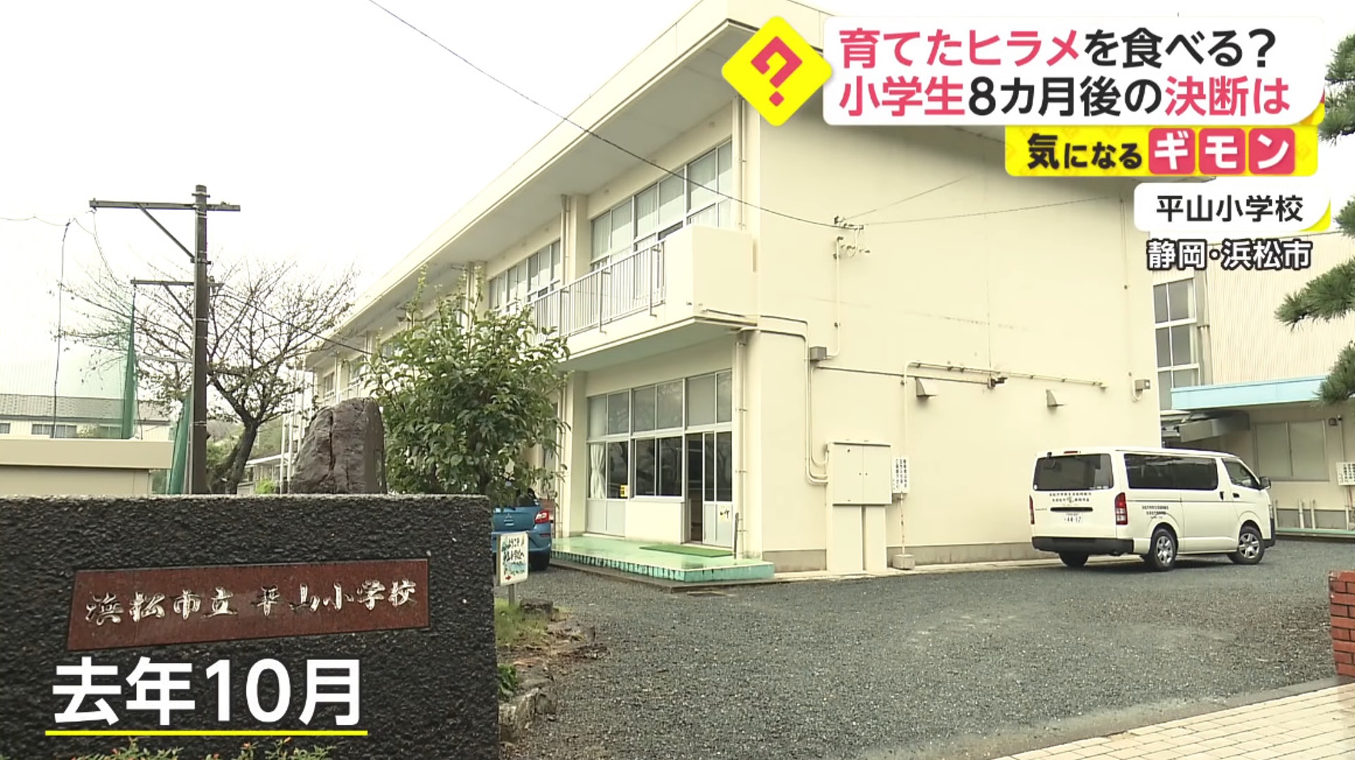 (FNN News) (FNN News)