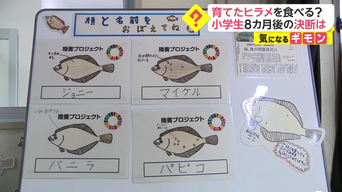 日本震撼教育|要吃掉養了8個月的魚小學生當場哭了:很不捨得|香港01