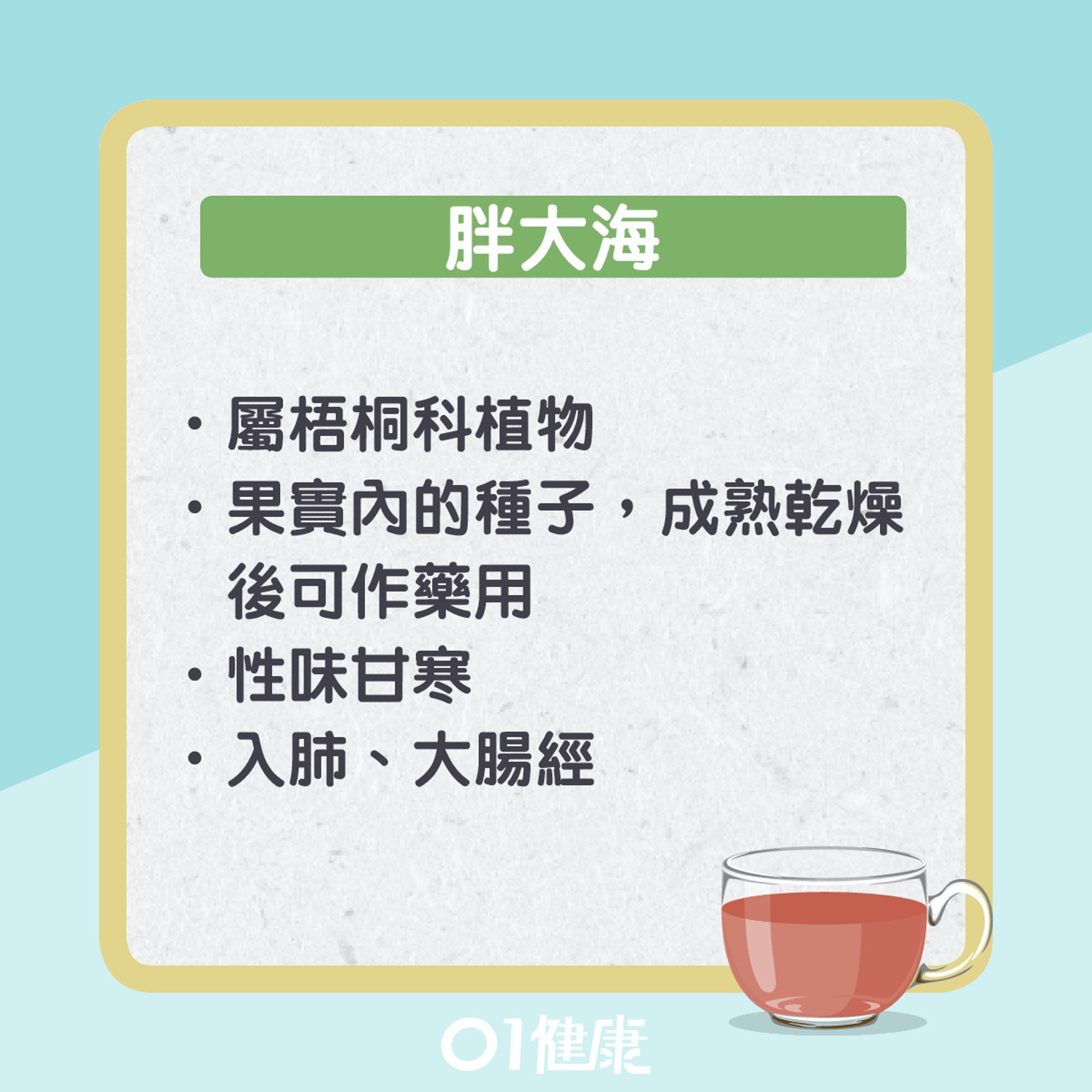 胖大海知多啲(01製圖) 胖大海知多啲(01製圖)