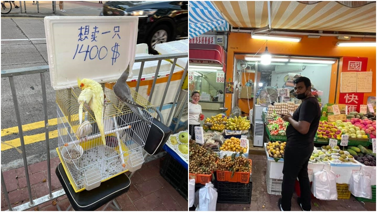 一隻1400$」 元朗生果檔懷疑非法售賣鸚鵡女檔主﹕咁大整蠱
