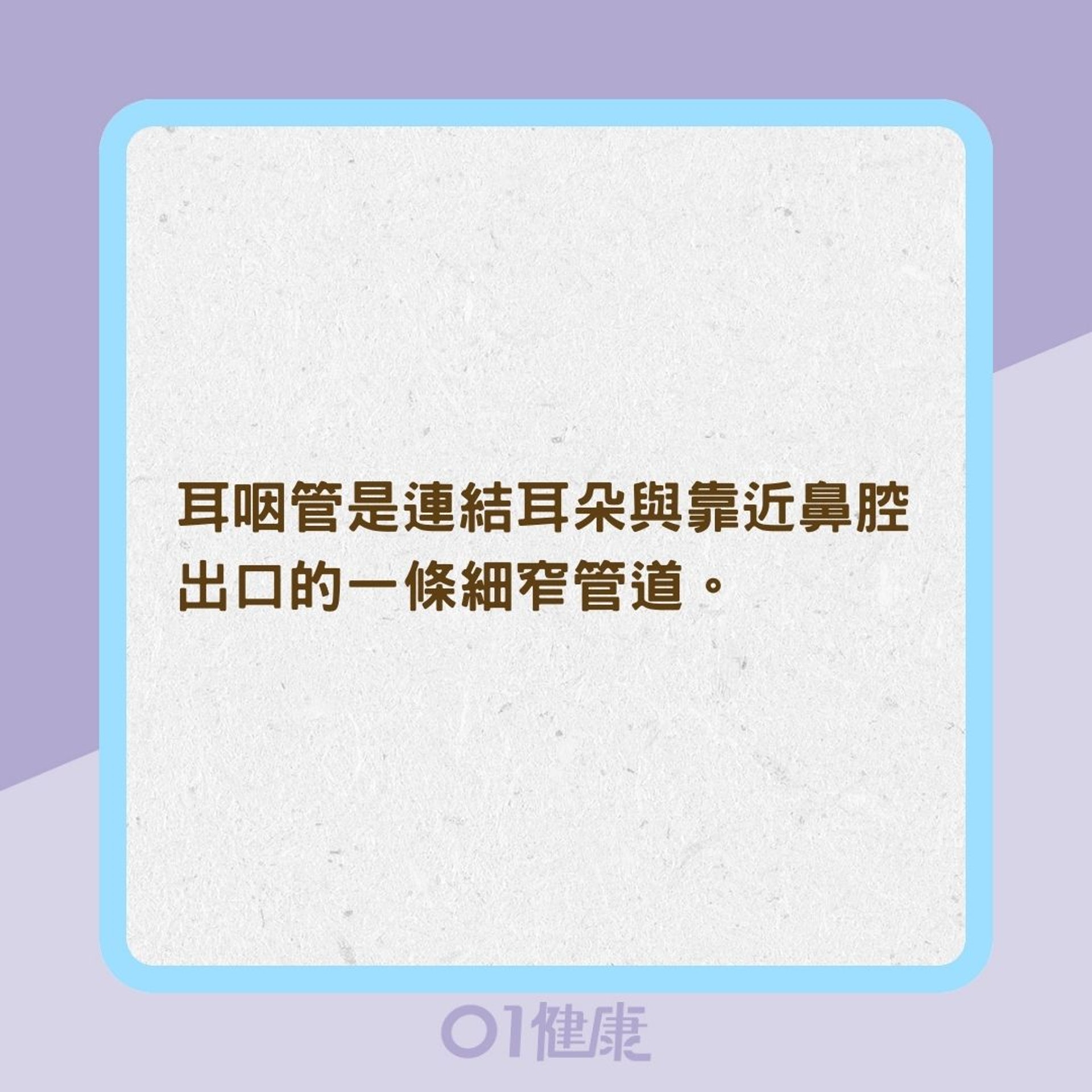 耳咽管的功能是什麼?(01製圖) 耳咽管的功能是什麼?(01製圖)