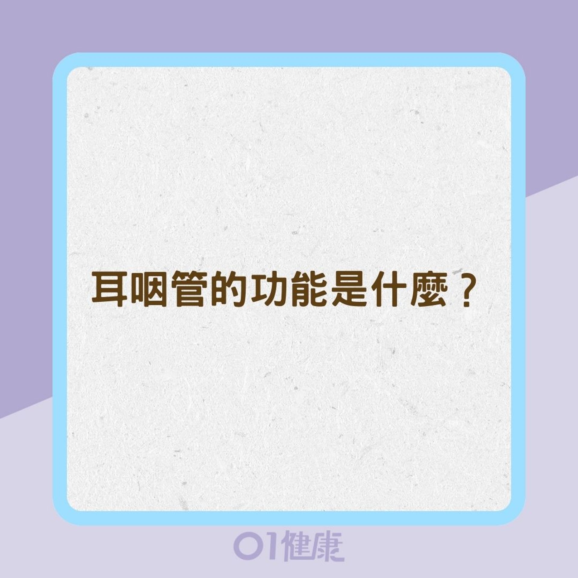 耳咽管的功能是什麼?(01製圖) 耳咽管的功能是什麼?(01製圖)