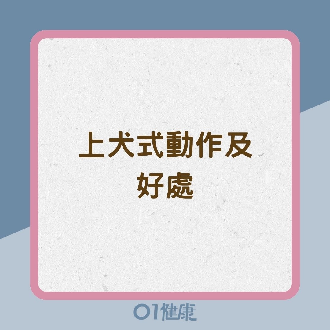 上犬式動作及好處（01製圖）