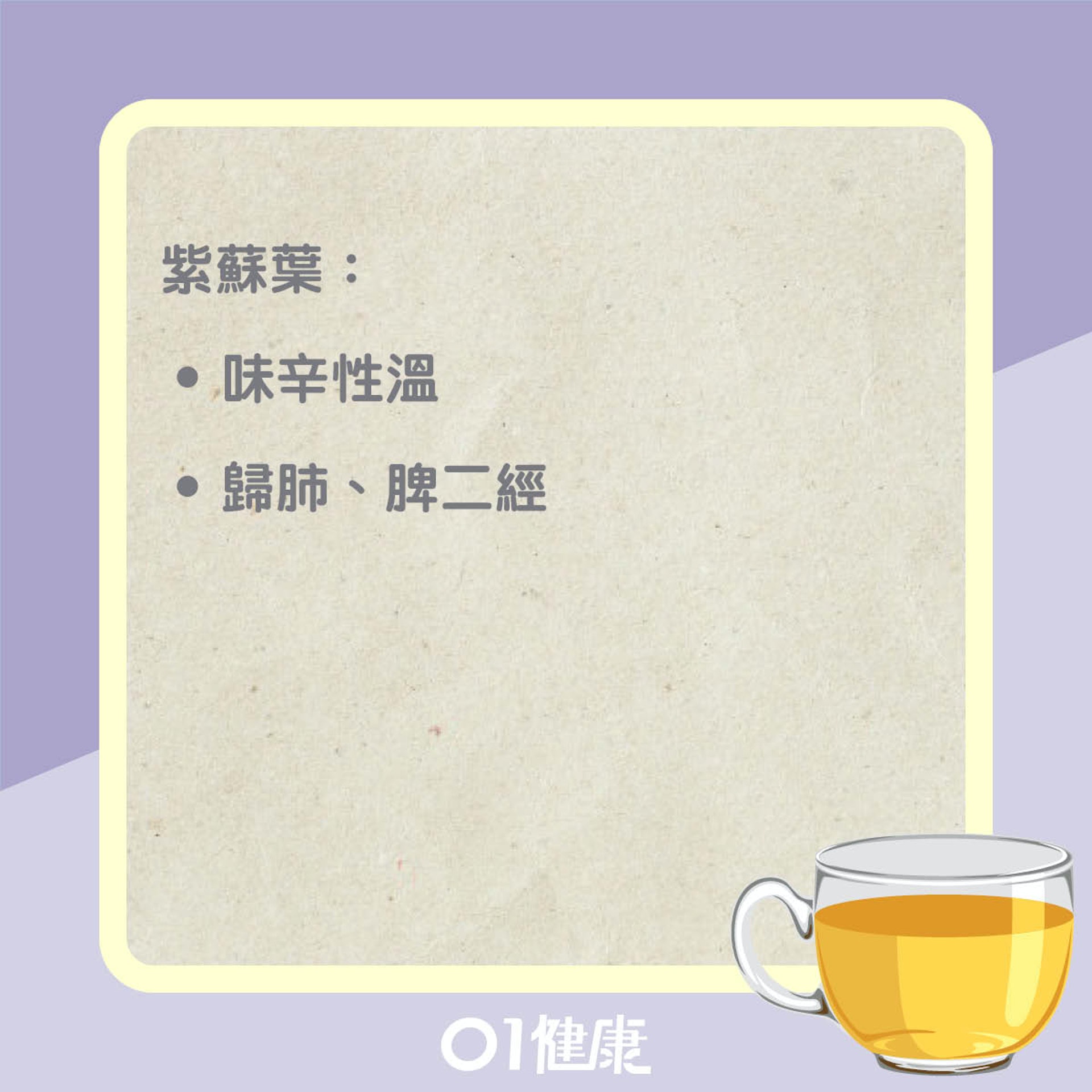 紫蘇葉茶知多啲(01製圖) 紫蘇葉茶知多啲(01製圖)