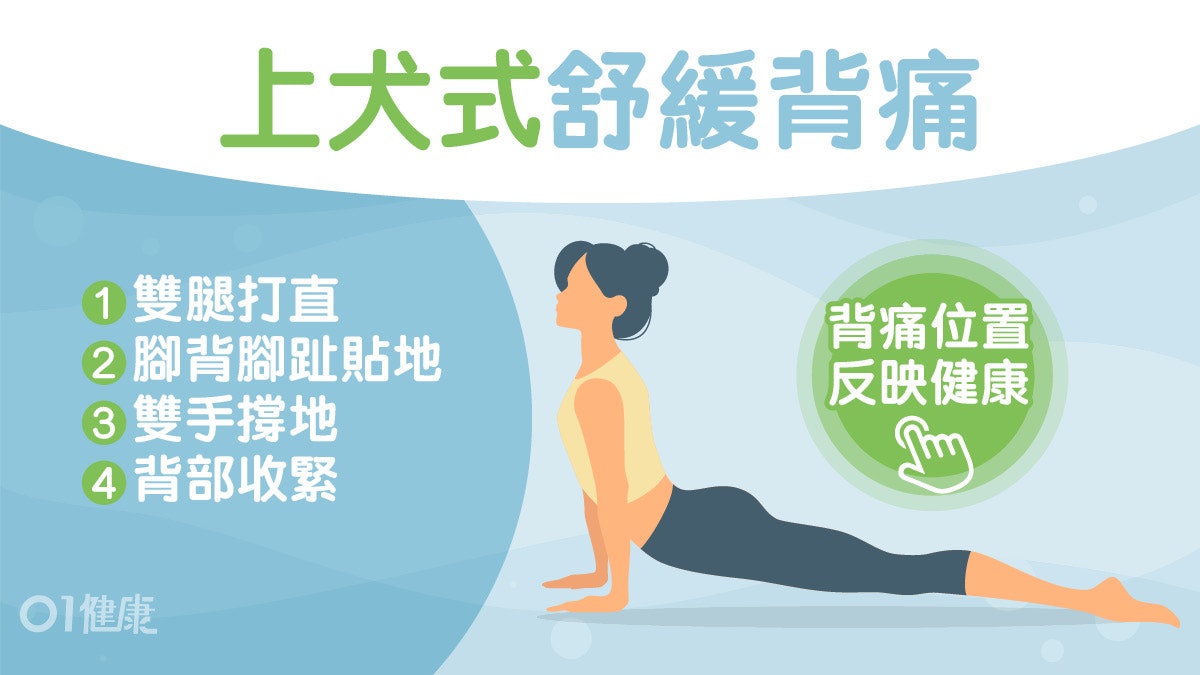 瑜伽動作 強背肌改善背痛哮喘上犬式完成後加1個動作紓緩肌肉 香港01 健康 瑜伽動作 強背肌改善背痛哮喘上犬式完成後加1個動作紓緩肌肉 香港01 健康
