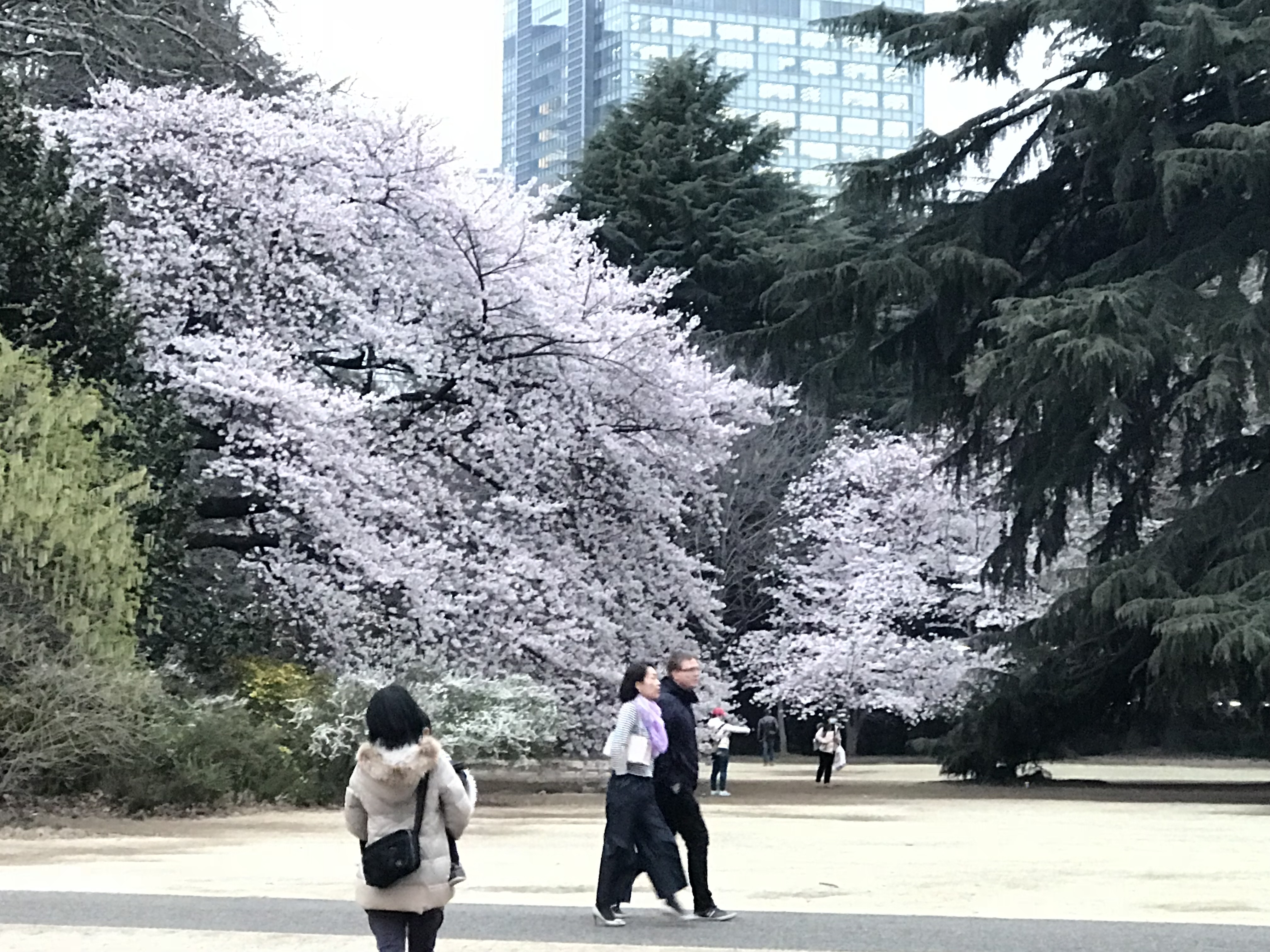 日本開關 最快6月准旅行團入境港旅行社推小包團 6499玩五日