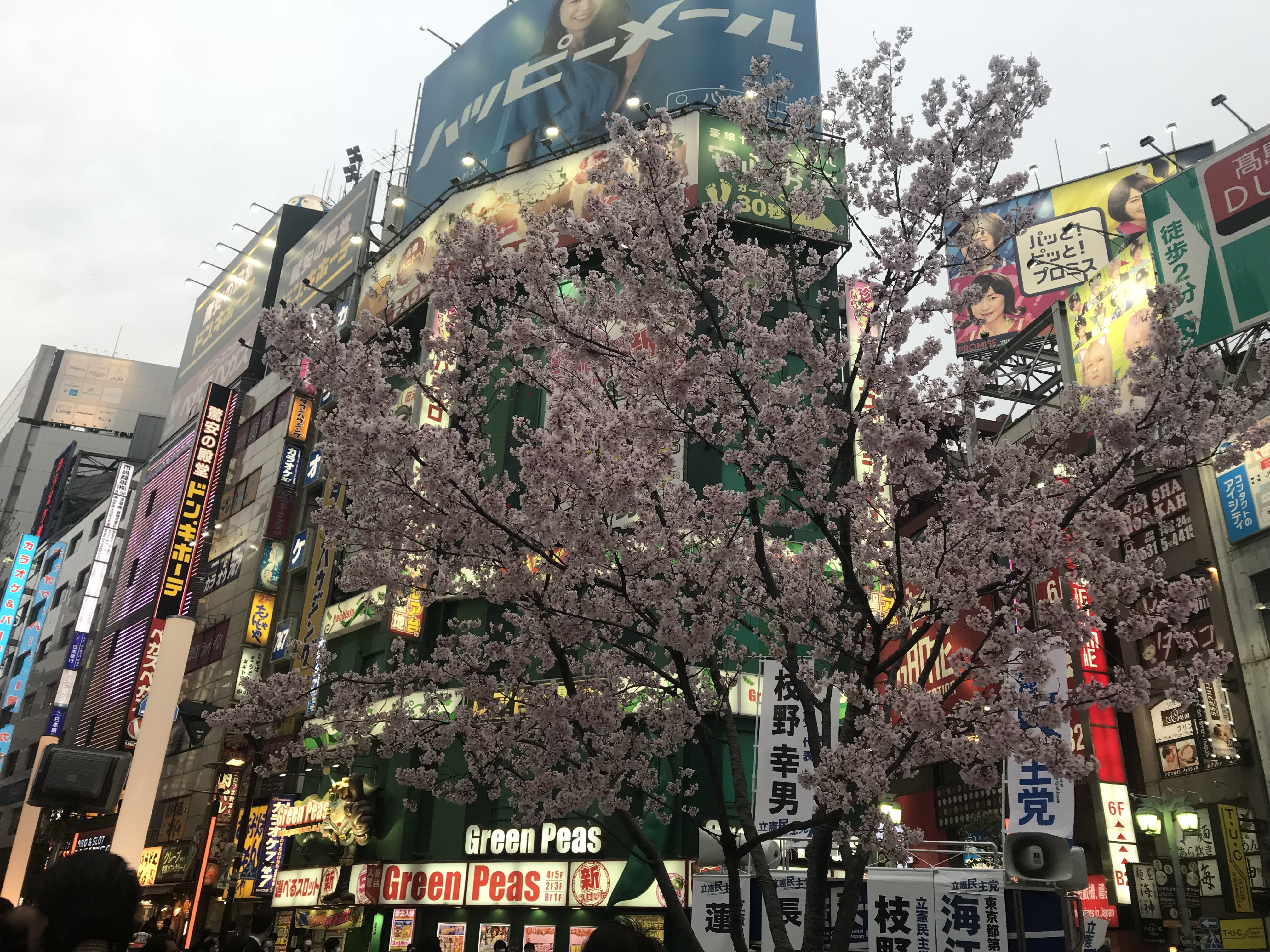 日本開關 最快6月准旅行團入境港旅行社推小包團 6499玩五日