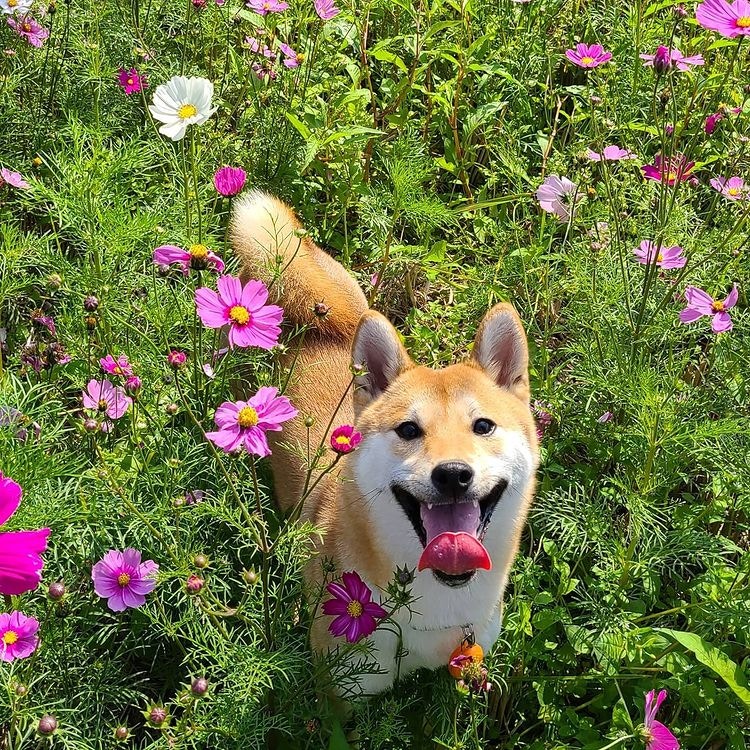 Aki：我只不過是去泡個泥漿浴，有什麼好緊張的？（ig@mumudventurer）