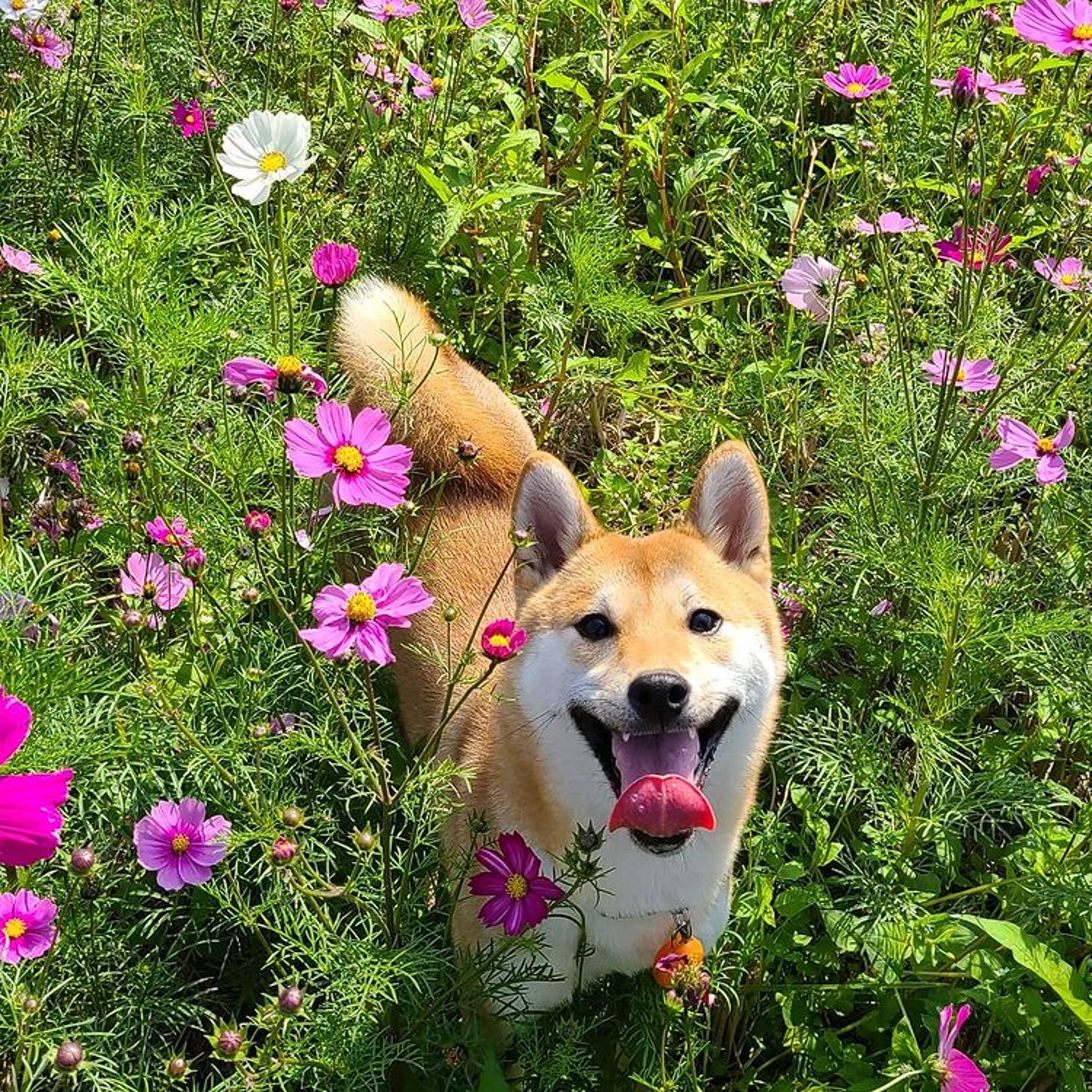 Aki:我只不過是去泡個泥漿浴,有什麼好緊張的?(ig@mumudventurer) Aki:我只不過是去泡個泥漿浴,有什麼好緊張的?(ig@mumudventurer)