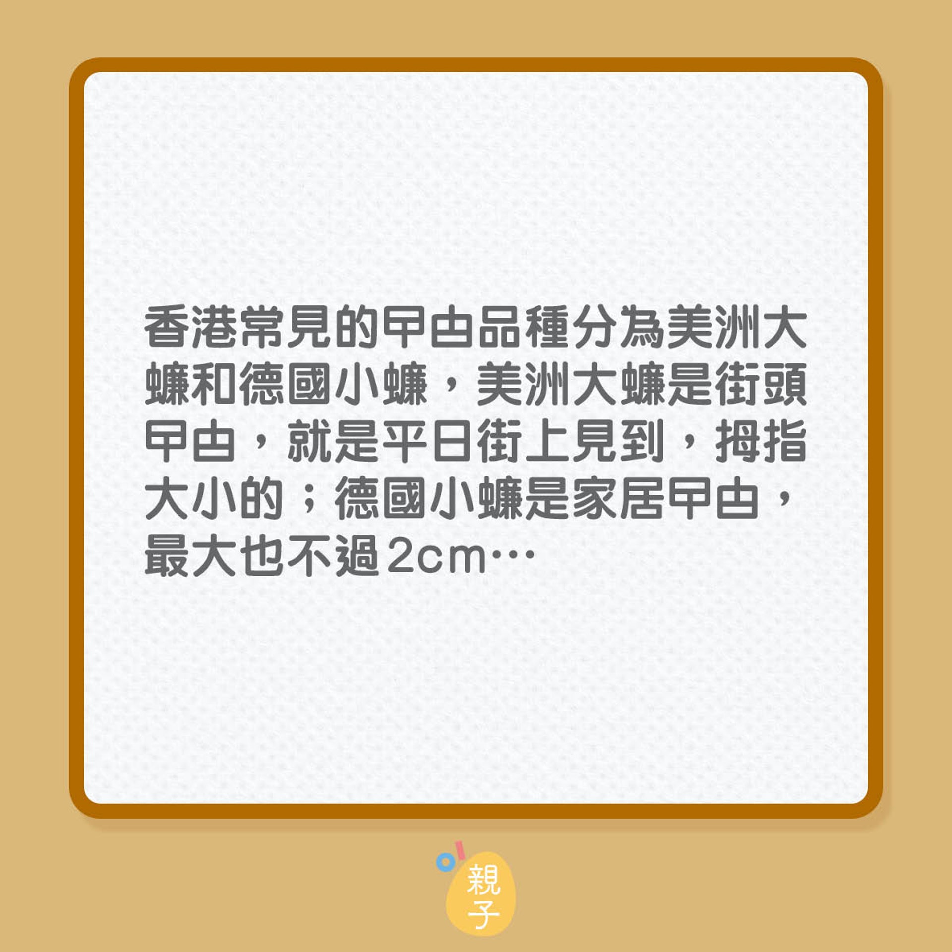 曱甴進佔家園,有辦法將他們全部滅除嗎?(01製圖) 曱甴進佔家園,有辦法將他們全部滅除嗎?(01製圖)