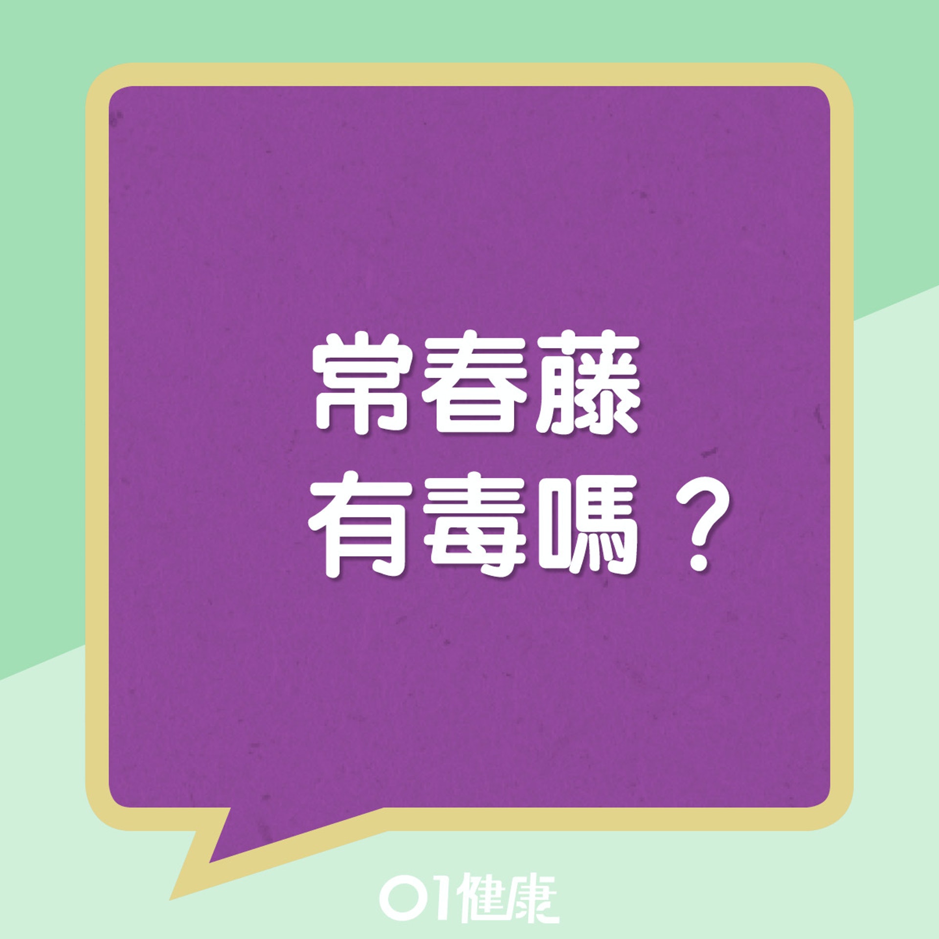 常春藤屬有毒植物。(醫管局圖片/01製圖) 常春藤屬有毒植物。(醫管局圖片/01製圖)