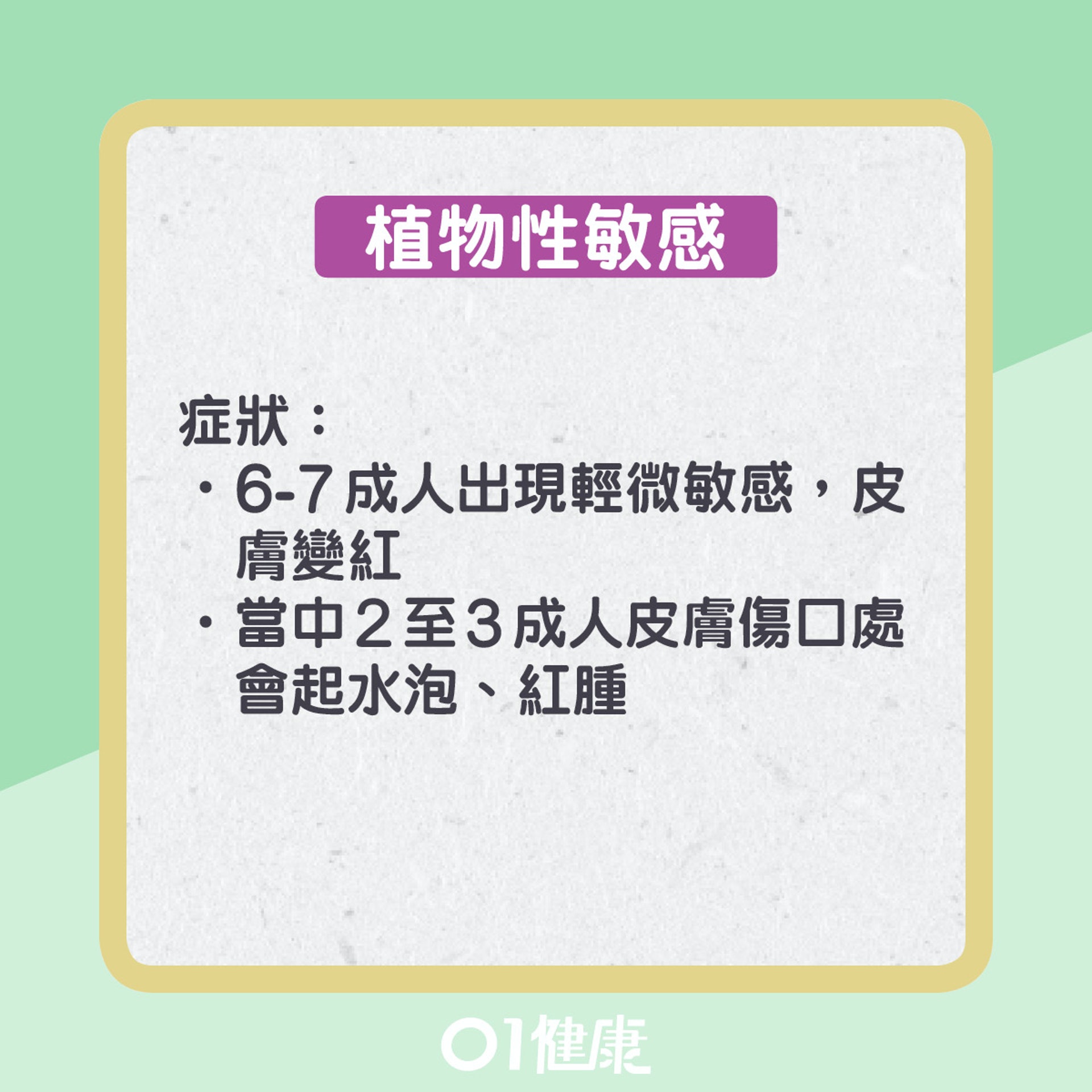 植物性敏感輕則引致皮膚紅腫，嚴者可能導致呼吸困難、發燒等。（01製圖）