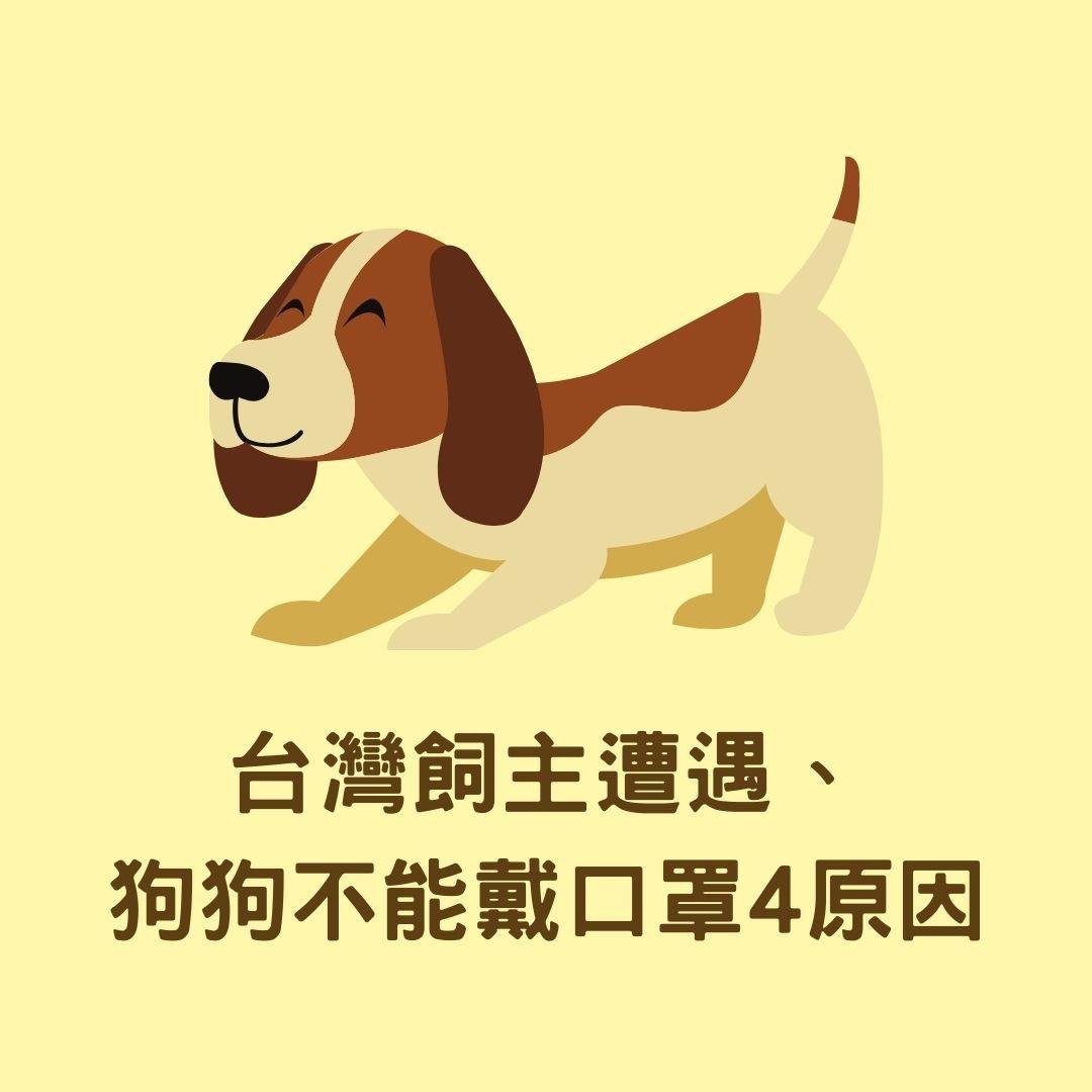 台灣飼主遭遇及狗狗不能戴口罩4原因（01製圖）