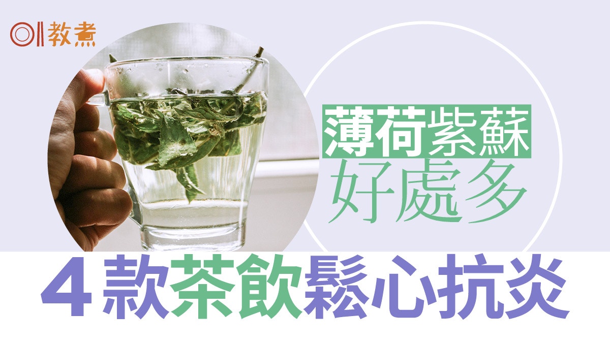養生茶飲｜薄荷紫蘇葉集多種益處　4款花草茶放鬆身心抗炎鎮痛