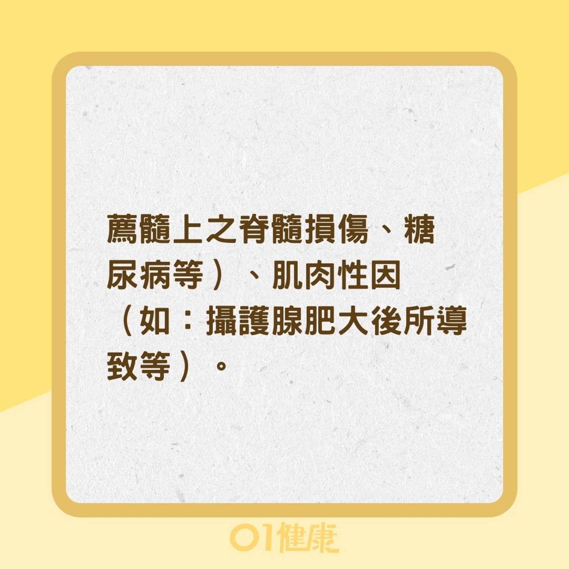 膀胱過動症的成因有哪些?(01製圖) 膀胱過動症的成因有哪些?(01製圖)
