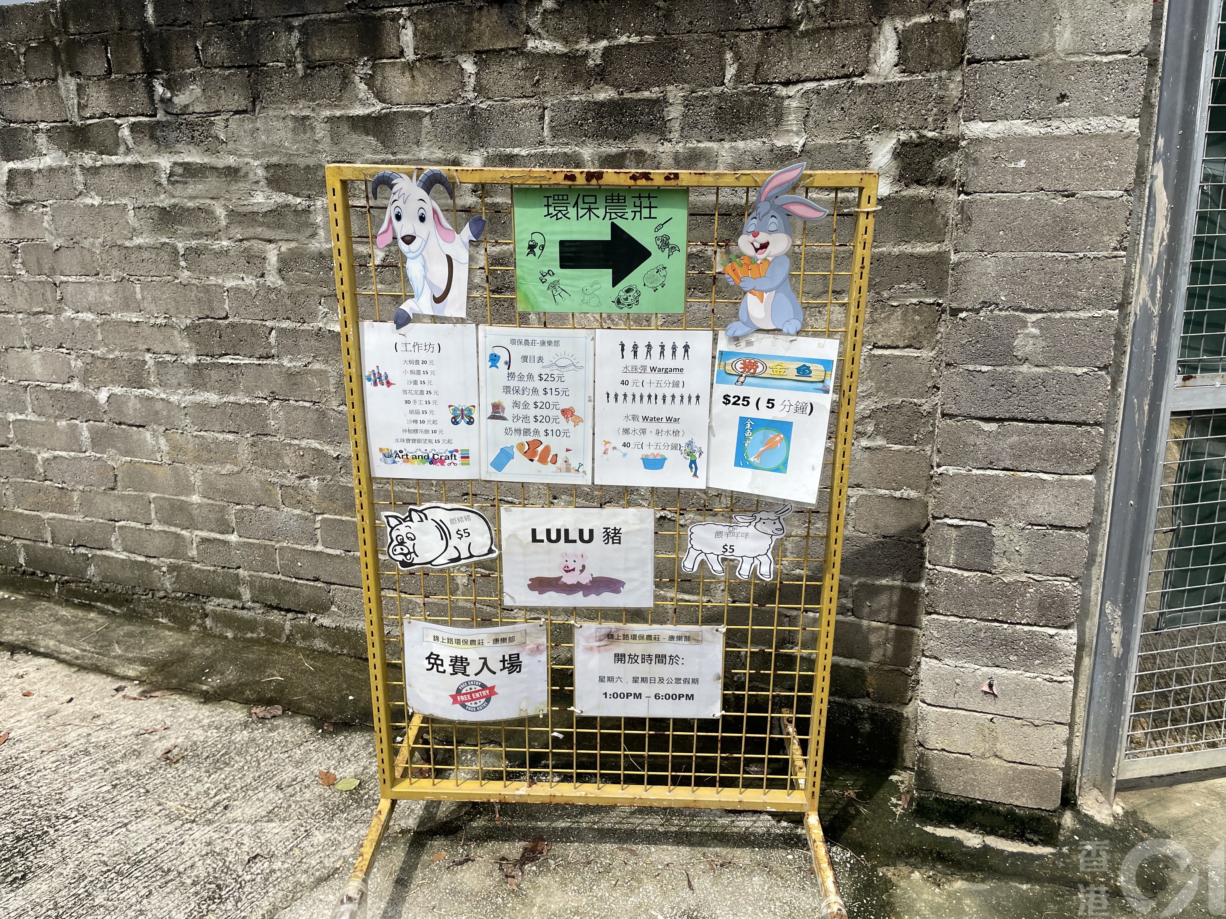 愛護動物協會接獲舉報，今天（9日）下午聯同漁農署人員到農莊實地視察。據知農莊負責人聲稱餵兔活動是分租予他人經營，環保農莊並不知情。（雲嘉晉攝）