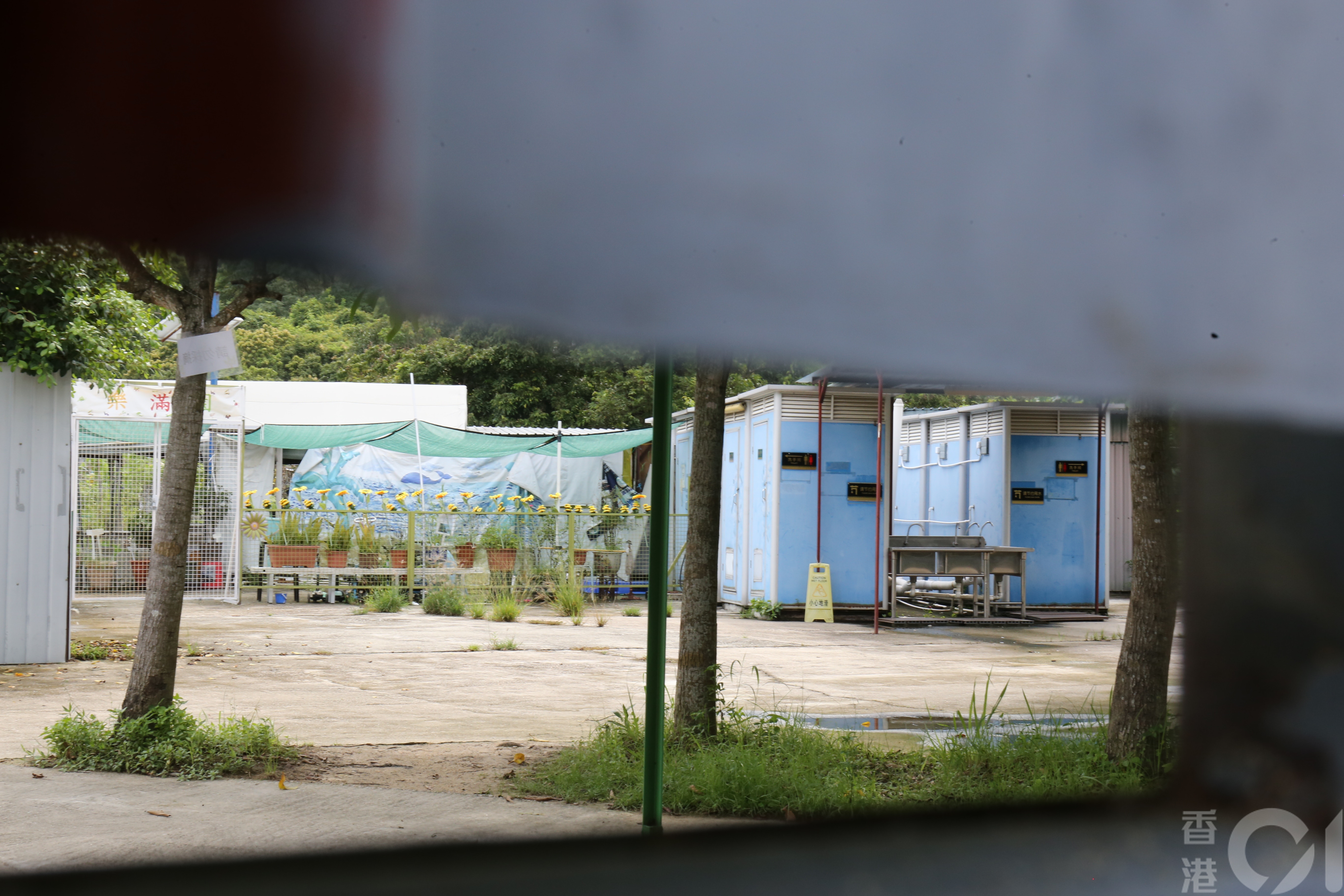 記者佯裝顧客致電餵兔活動負責人，對方指餵兔、餵豬、餵羊活動，每份飼料收取5元。（翁鈺輝攝）